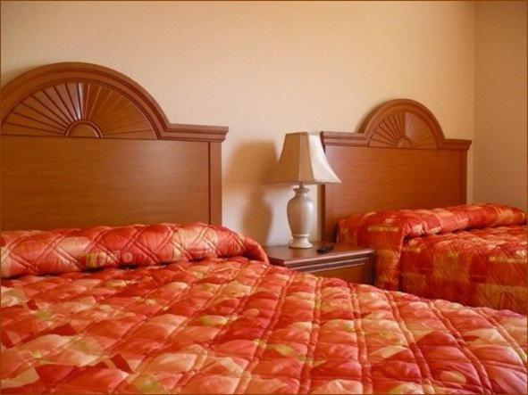 Family Suite photo 2