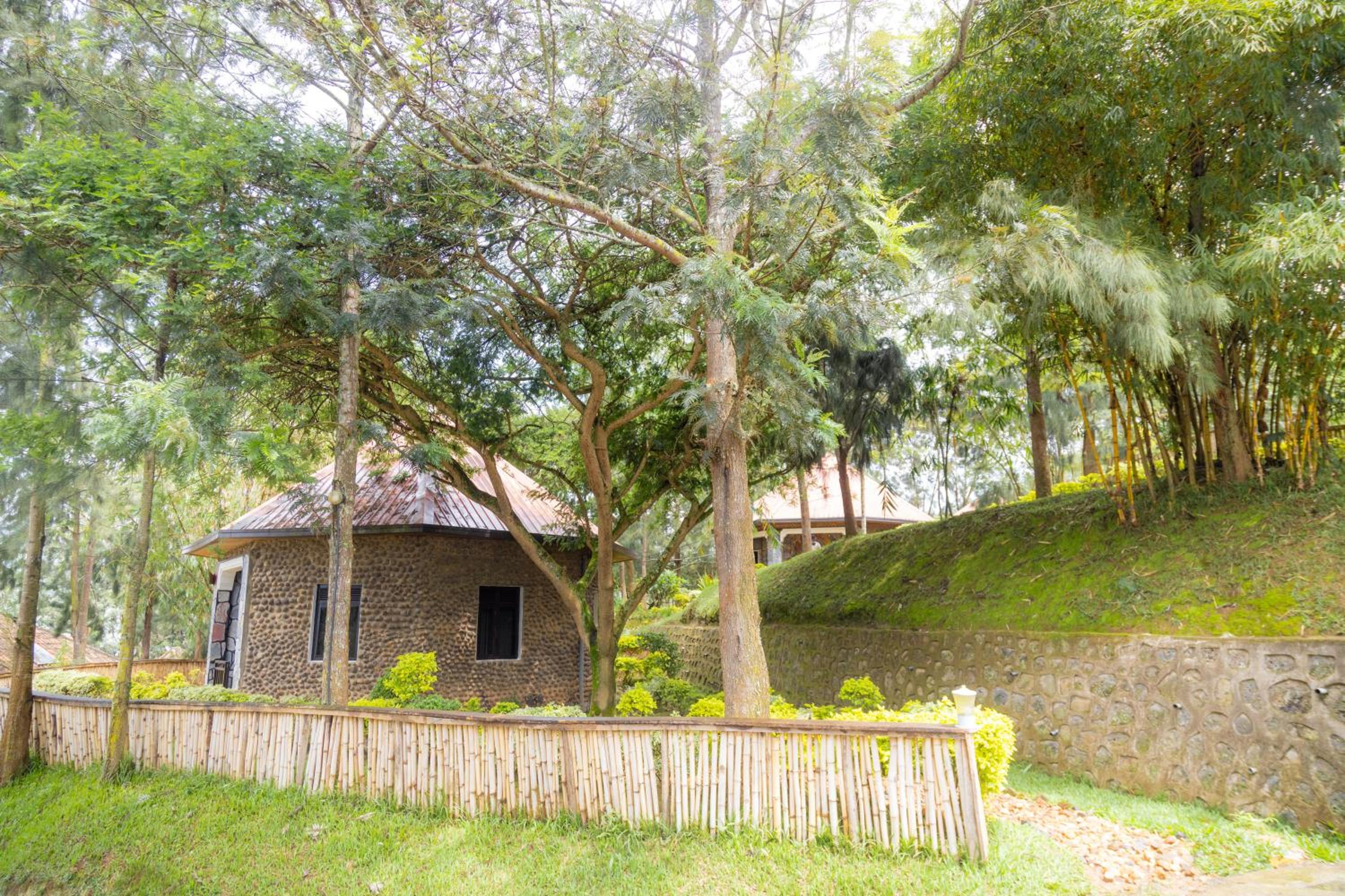 Two-Bedroom Bungalow photo 3