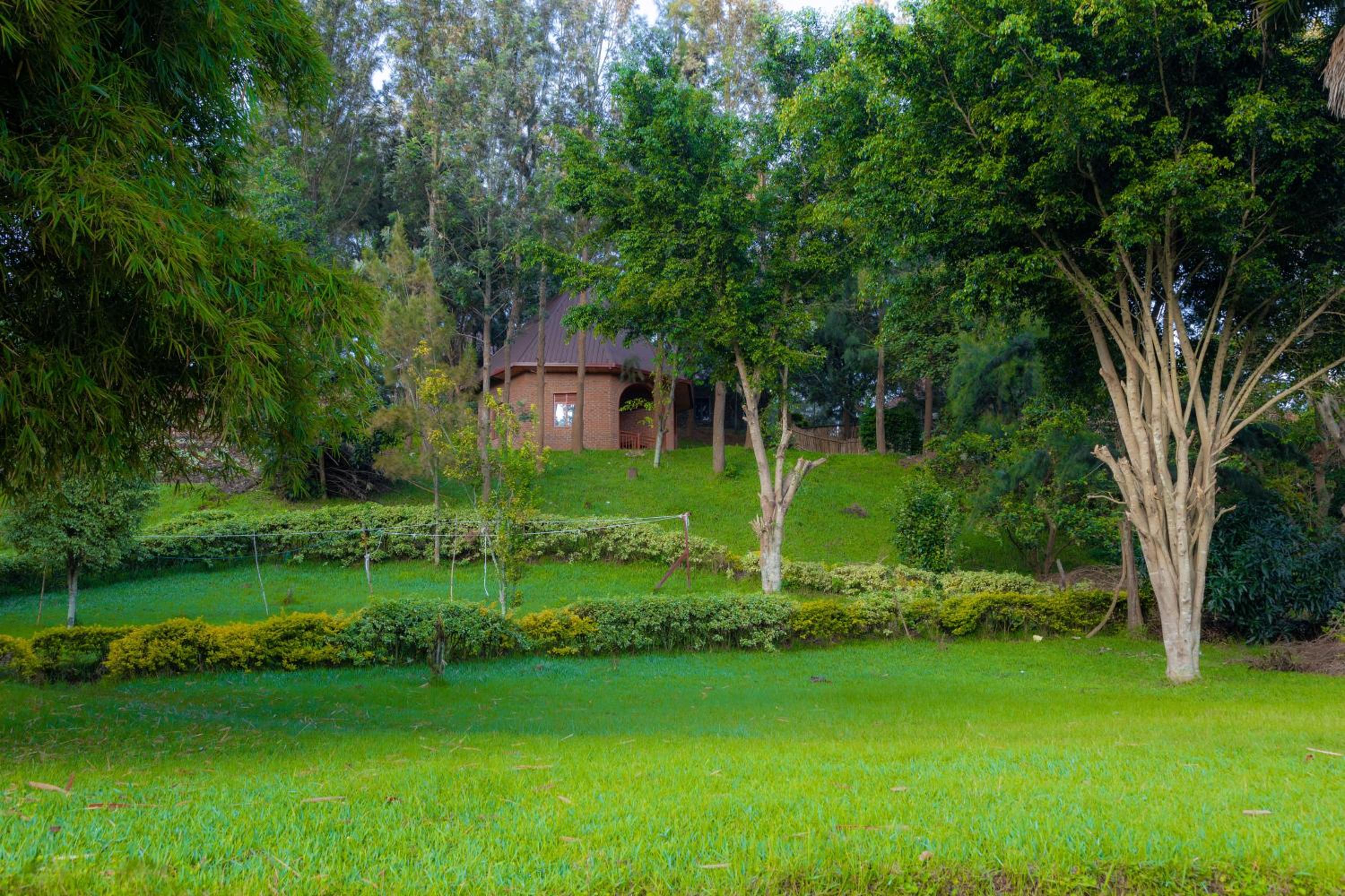 Family Bungalow photo 1