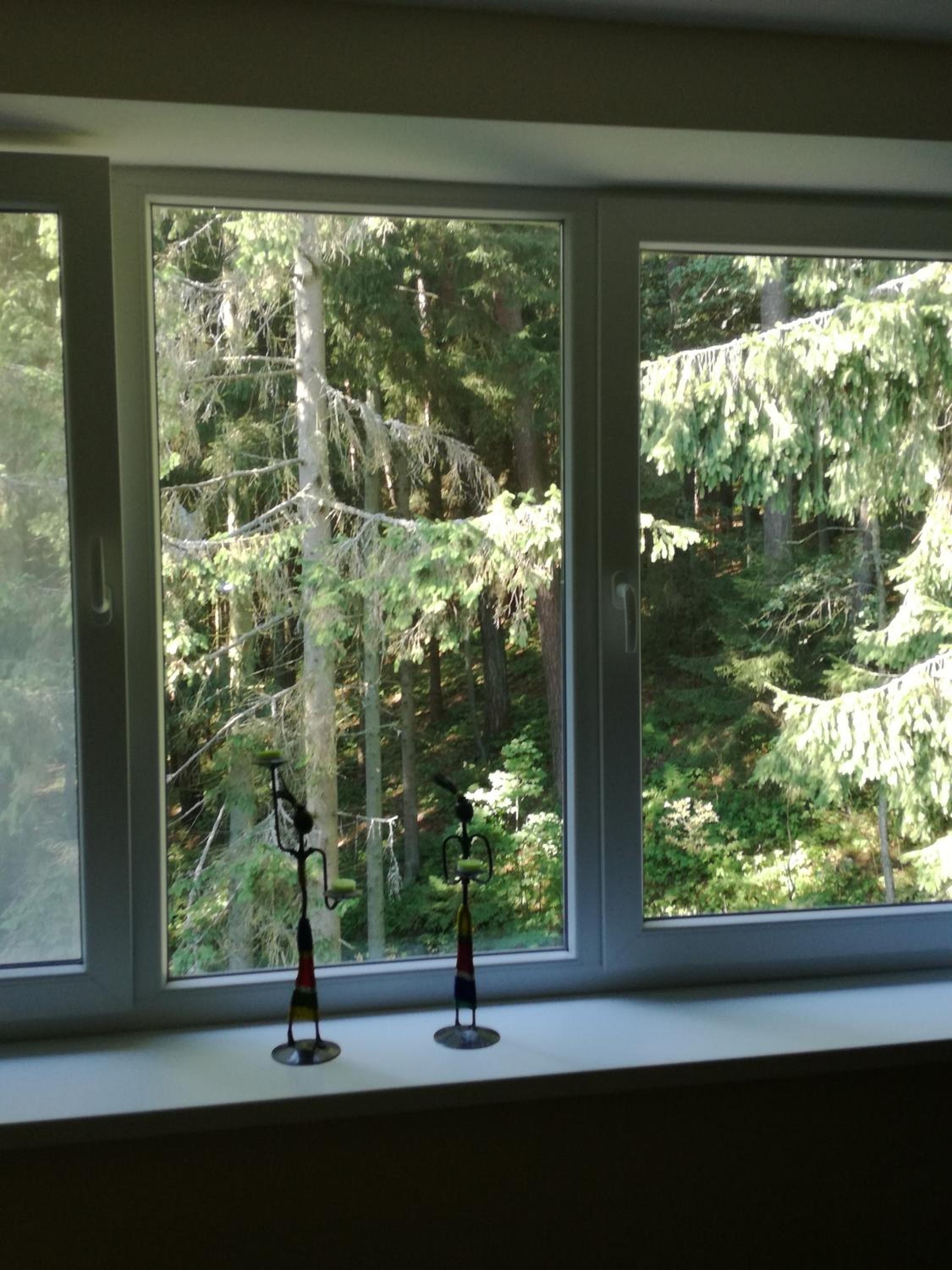 Apartment - Photo 1