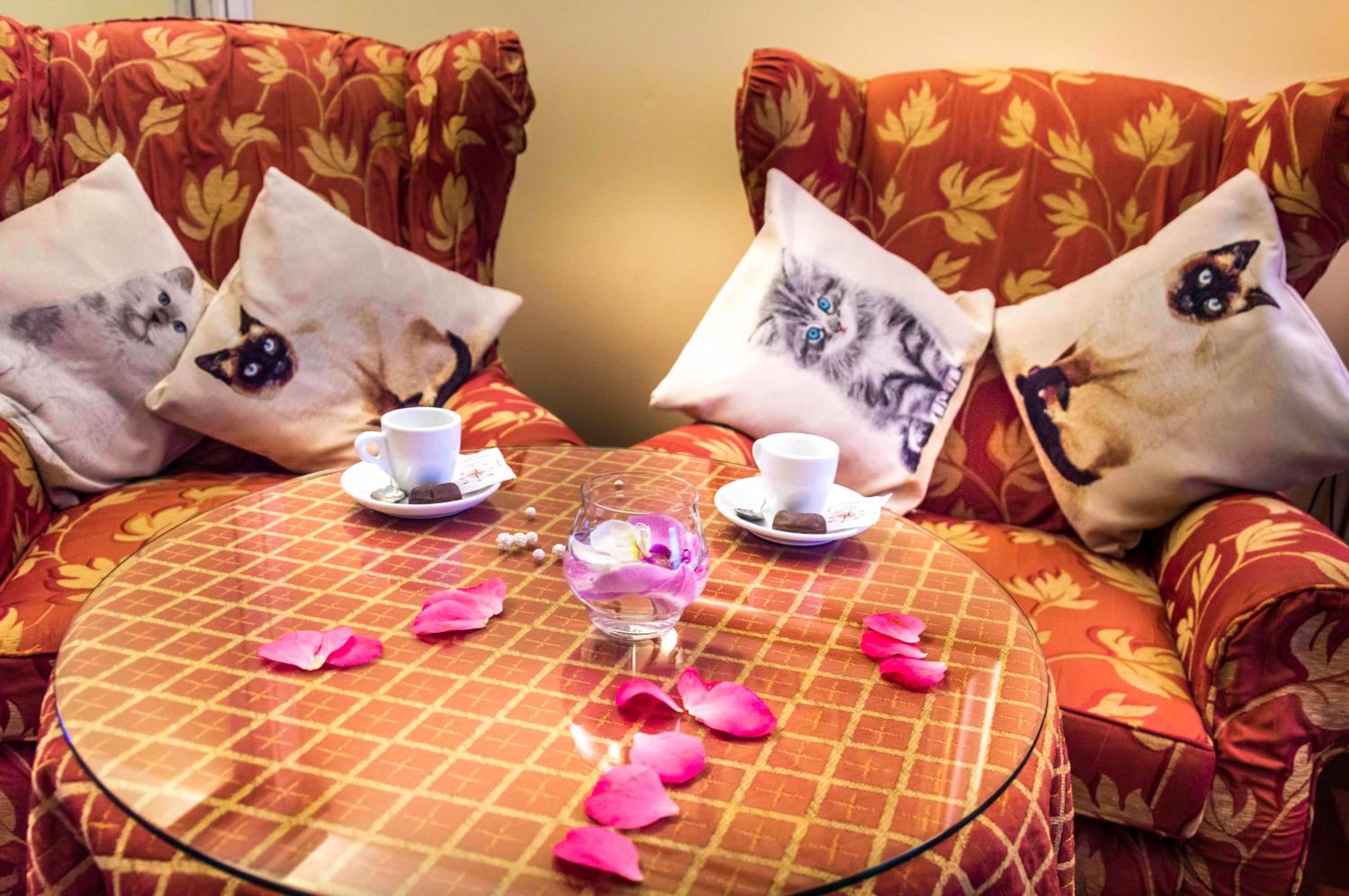 Junior Suite - Photo 5