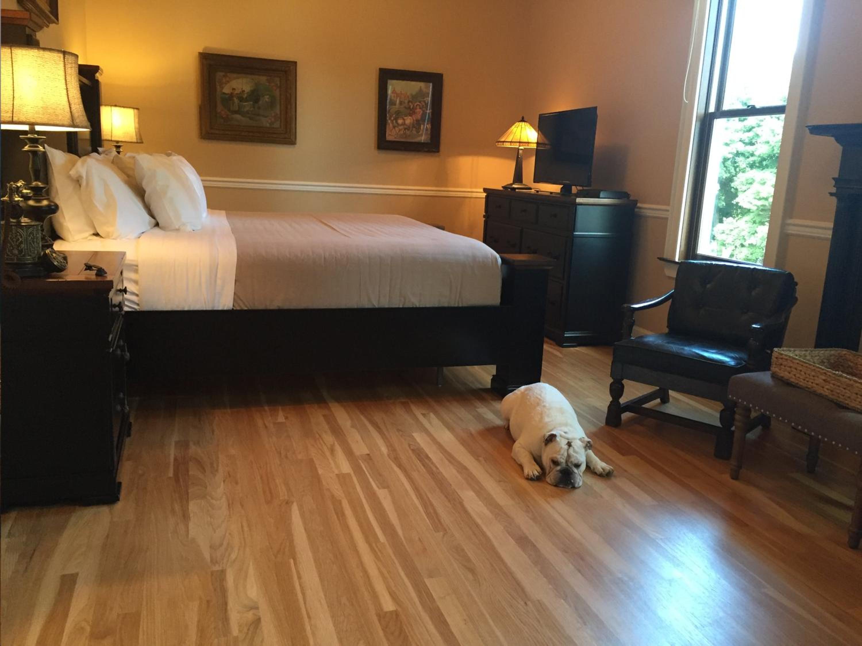 Deluxe Room - Photo 1