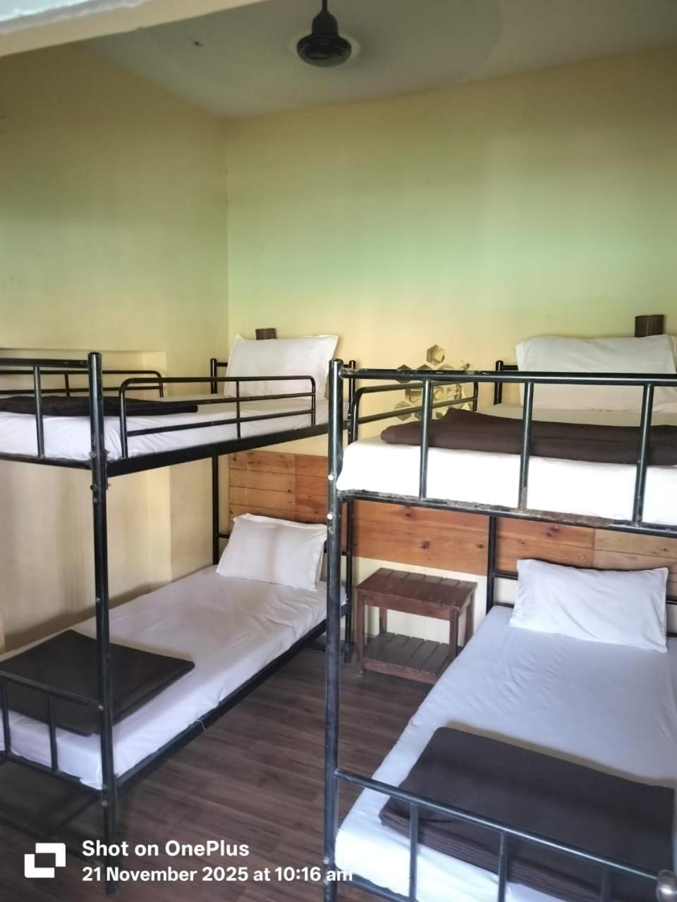 Bed in 4-Bed Dormitory Room