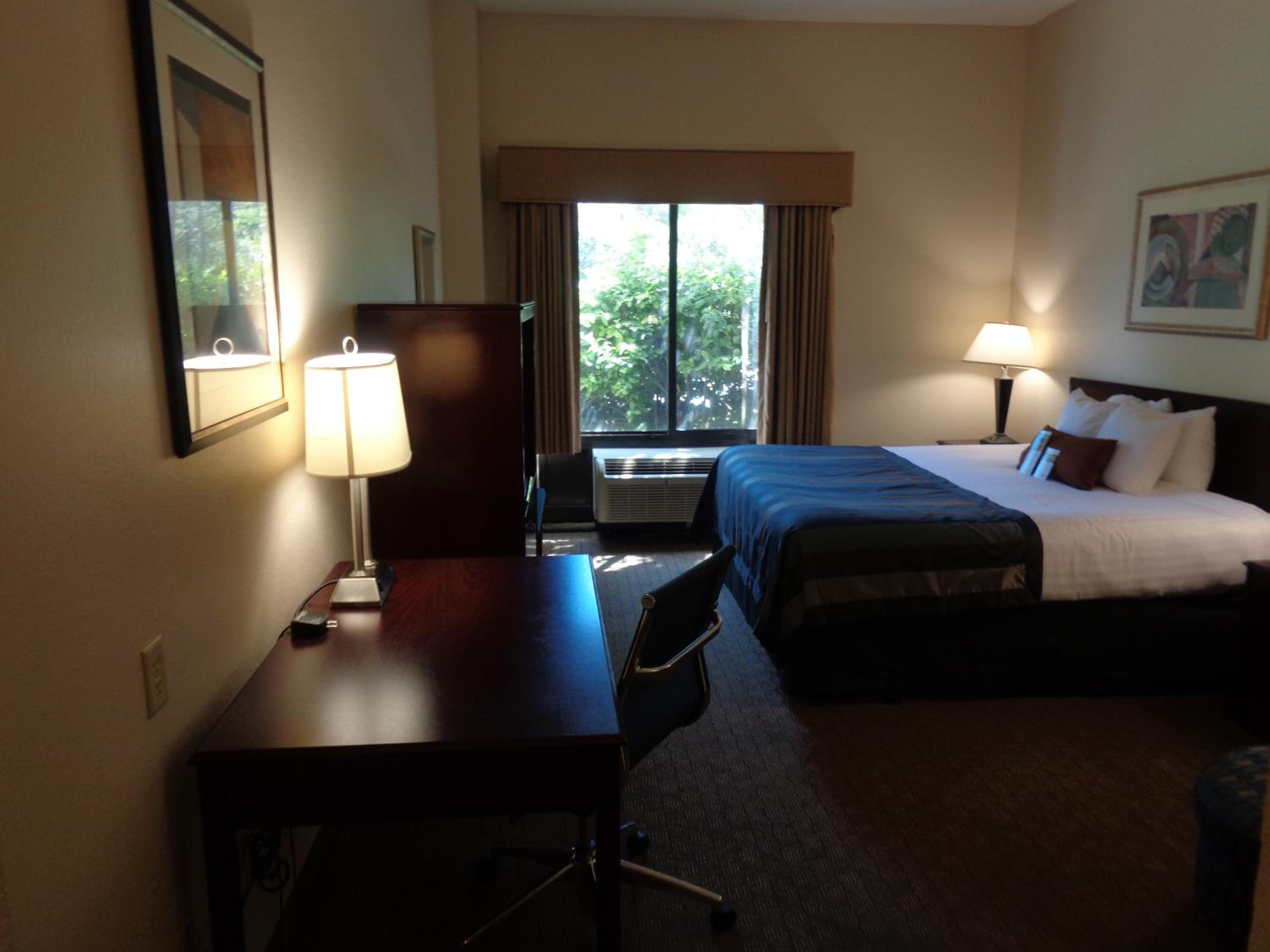 King Room - Non-Smoking - Photo 5