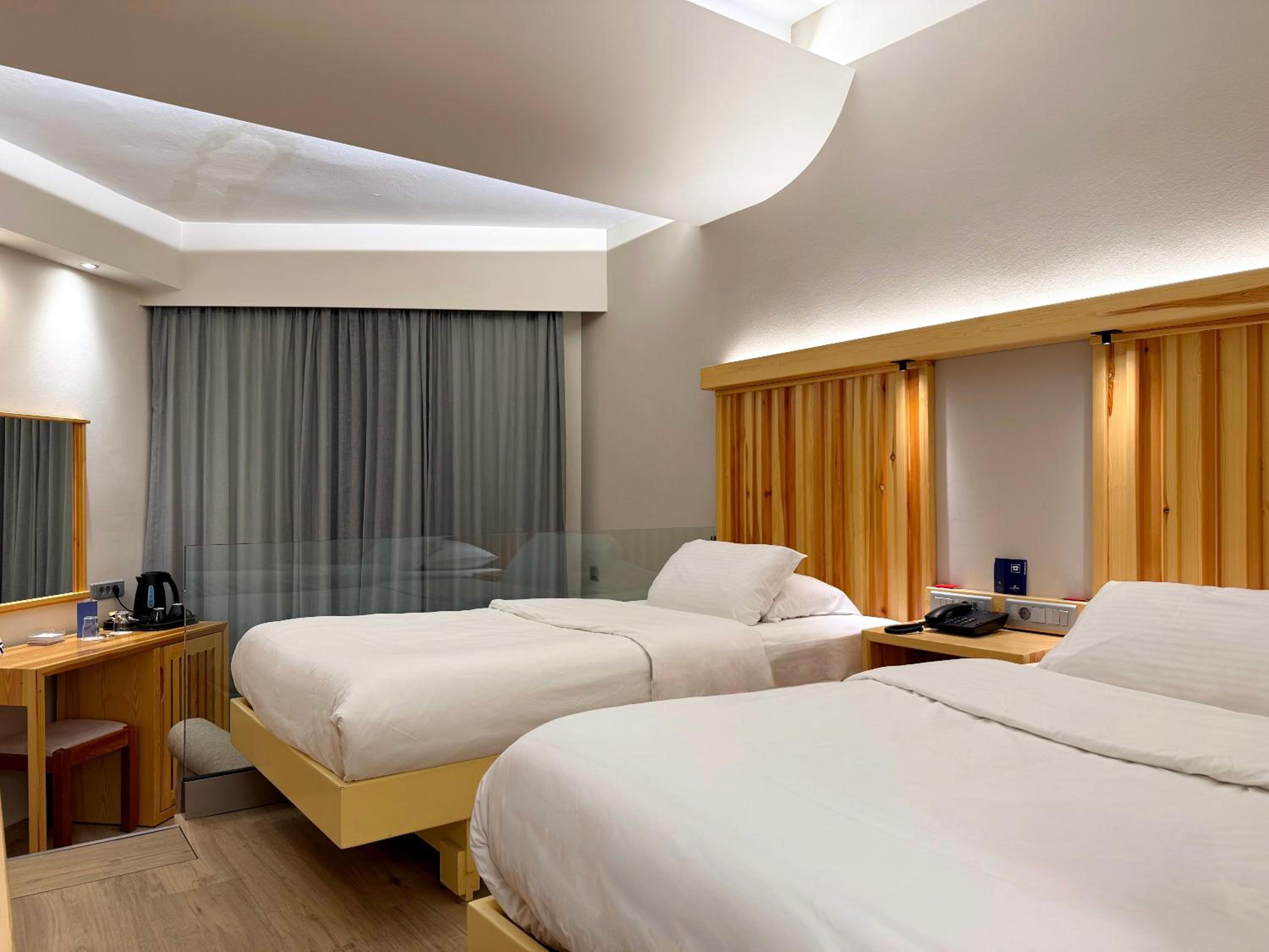 Superior Double or Twin Room