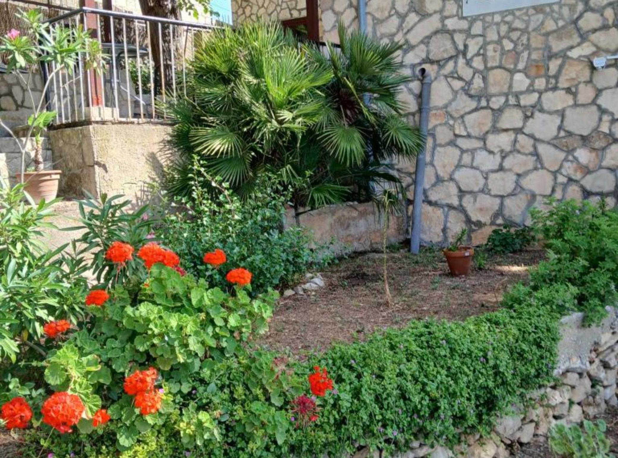 Studio Apartment with Terrace photo 1