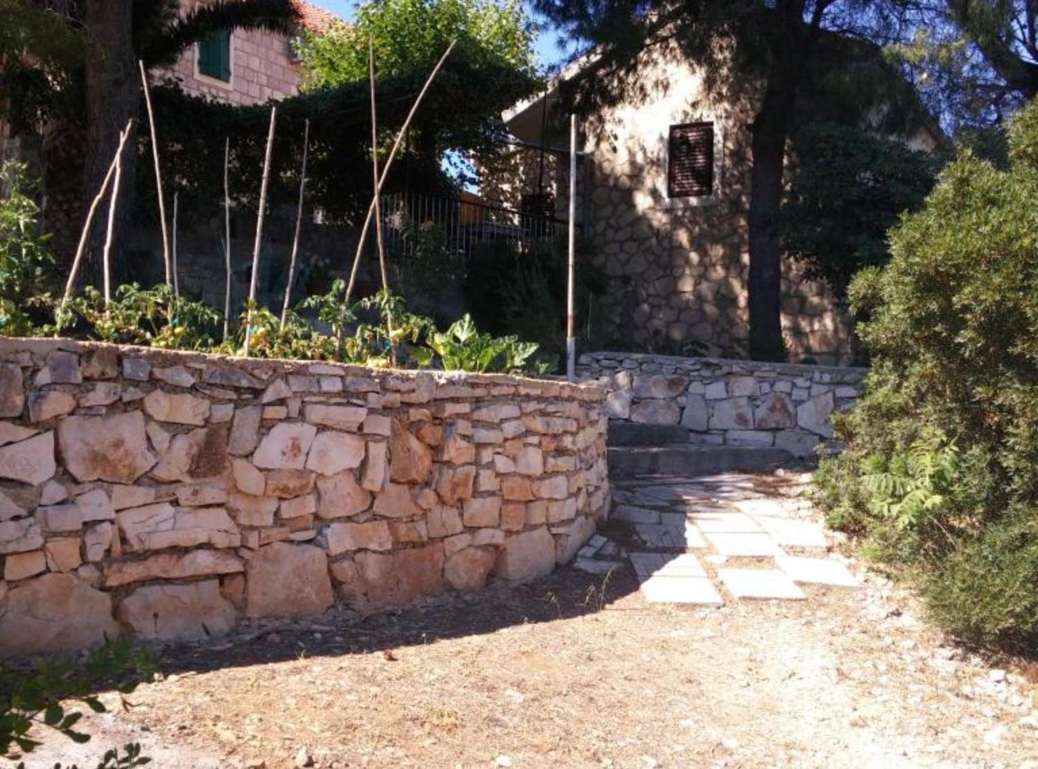 One Bedroom Apartment with Terrace photo 1