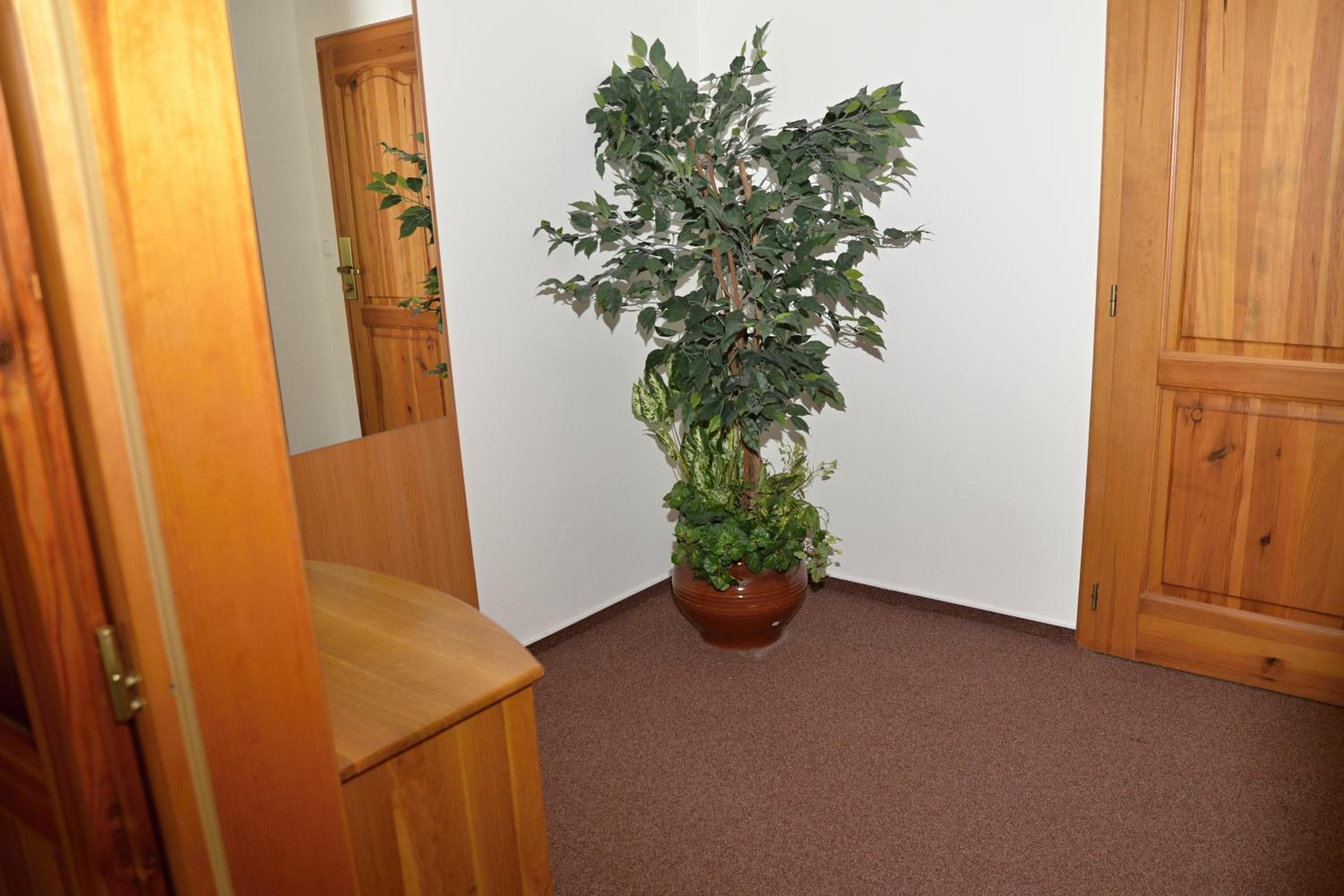 Twin Room - Photo 2