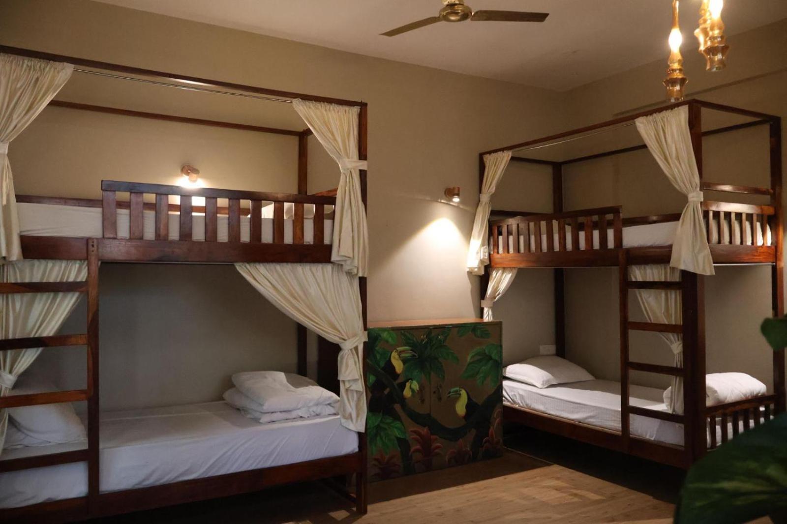 Bed in 4-Bed Female Dormitory Room photo 2
