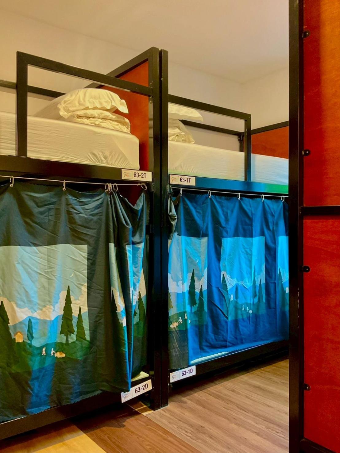 Bunk Bed in Mixed Dormitory Room photo 1