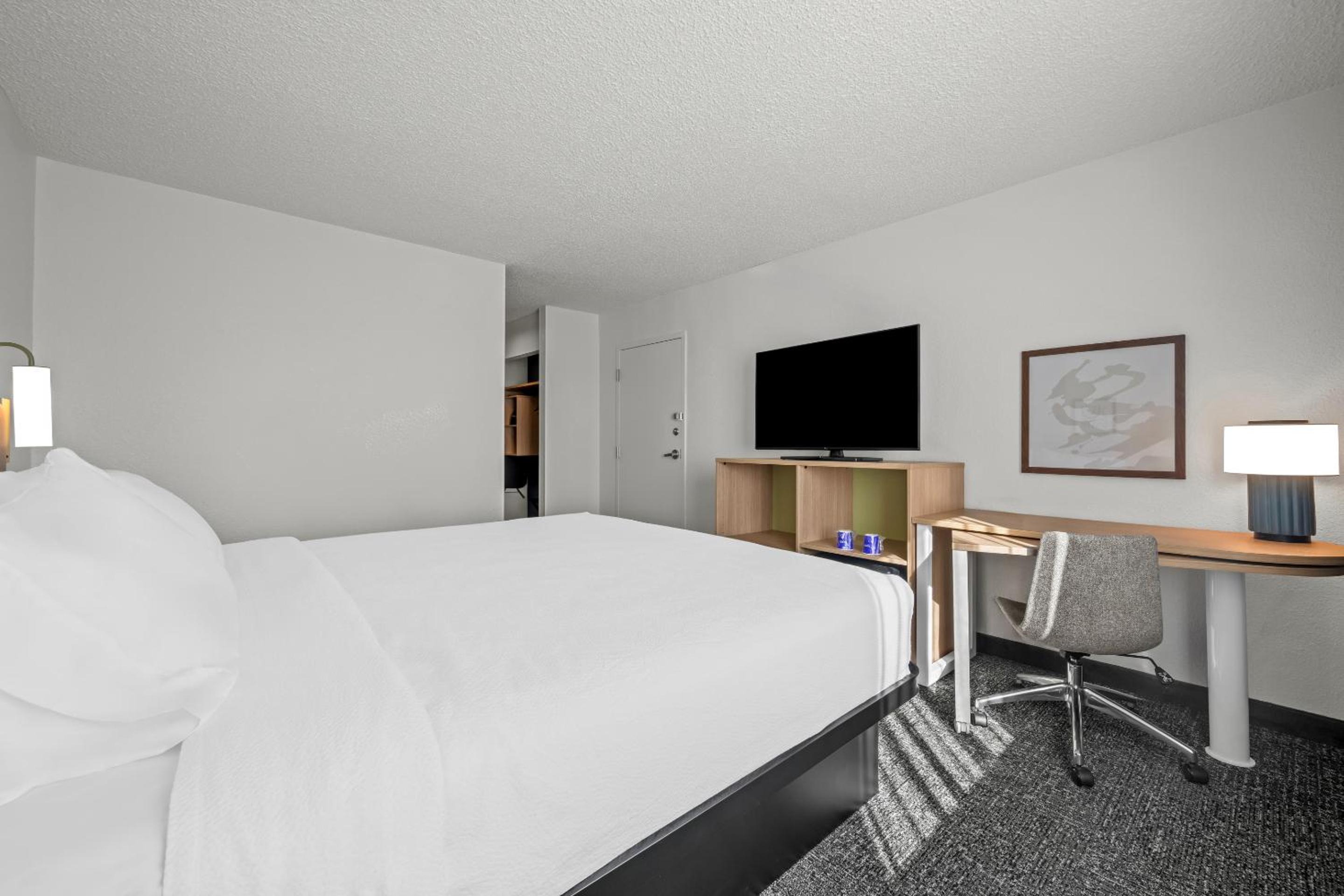 King Room - Photo 1