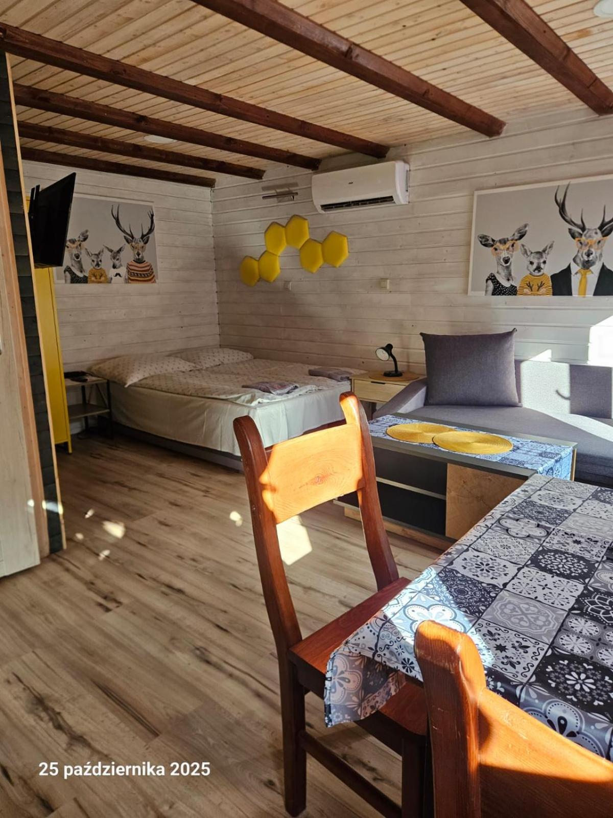 Double Room with Terrace photo 3