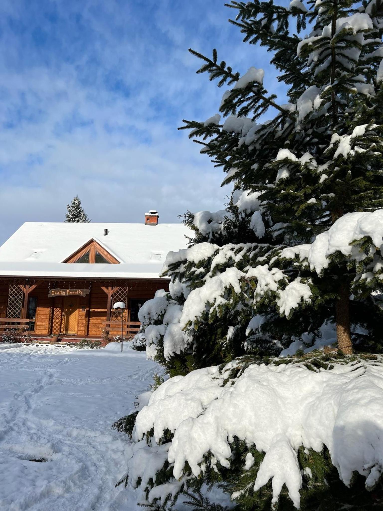 Chalet photo 1
