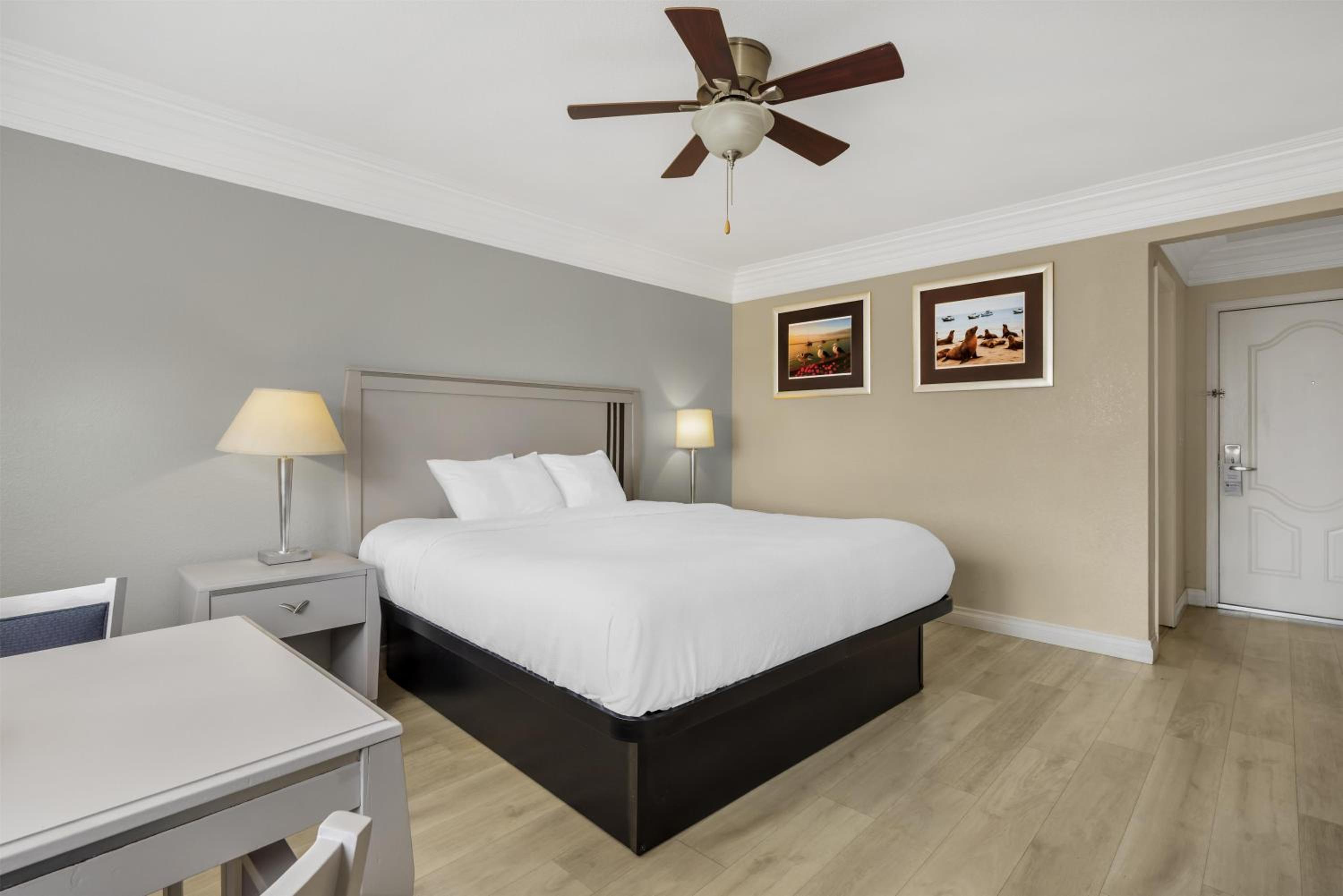 King Room with Ocean View - Non-Smoking photo 3