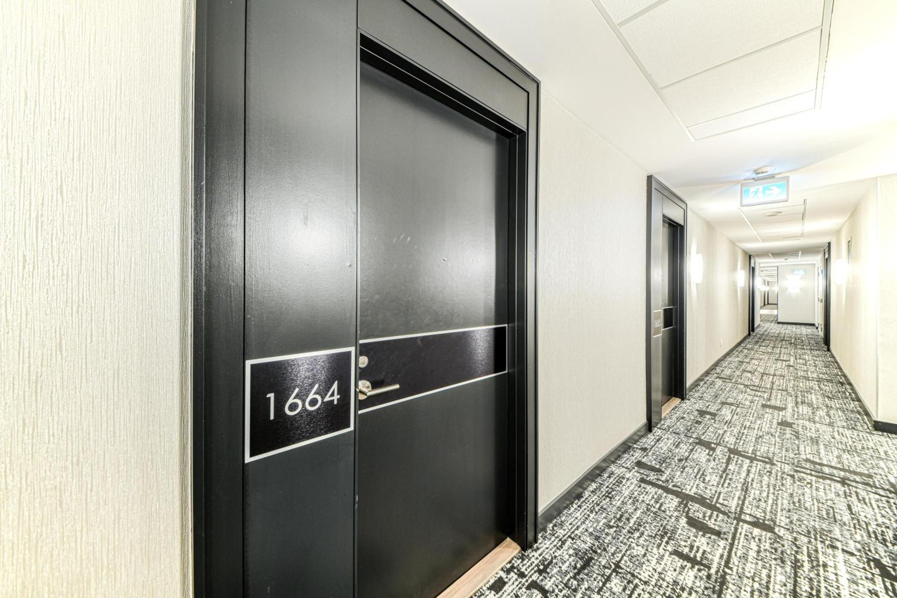 Deluxe Queen Studio