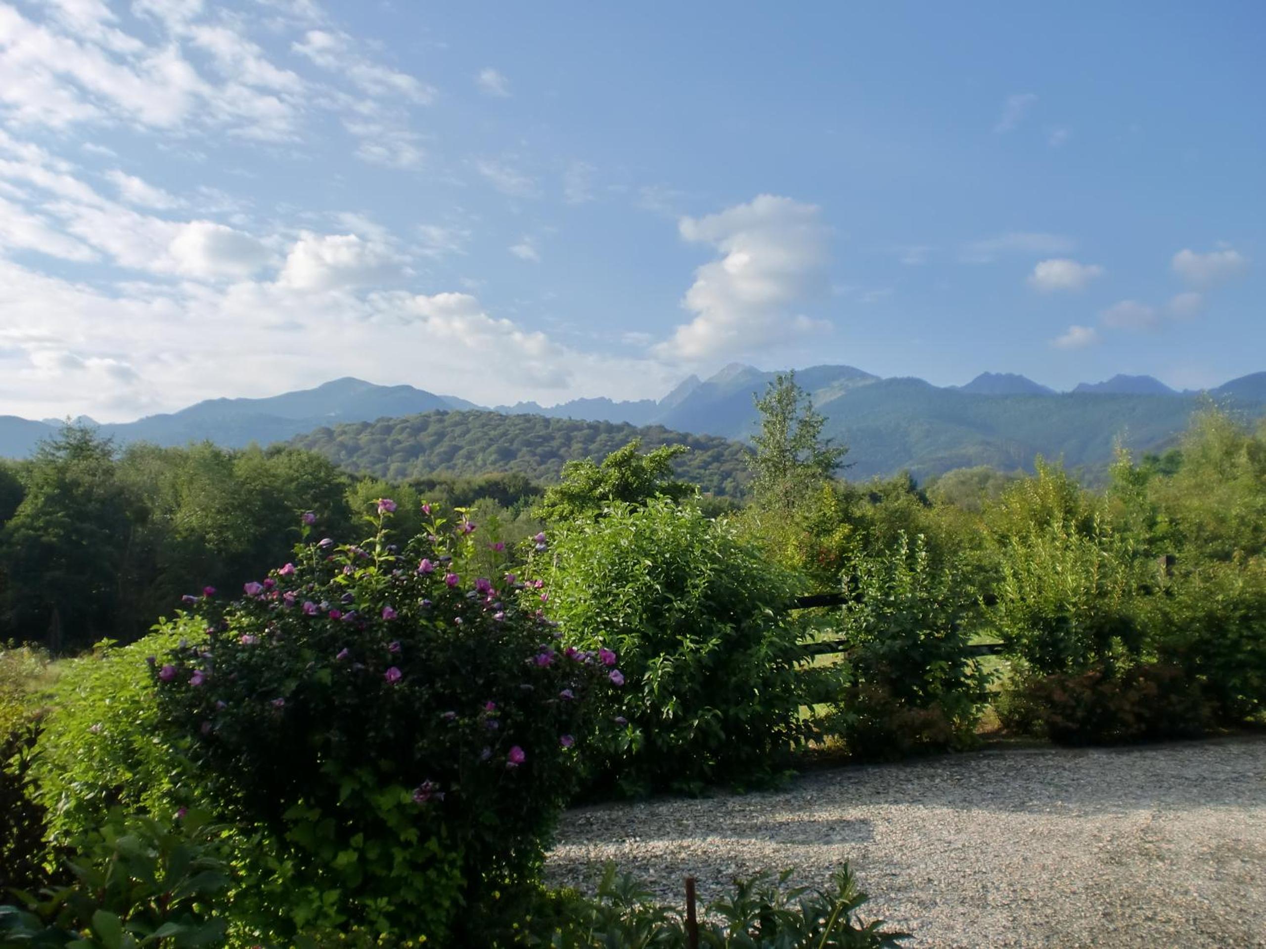 Double Room with Mountain View - Photo 3