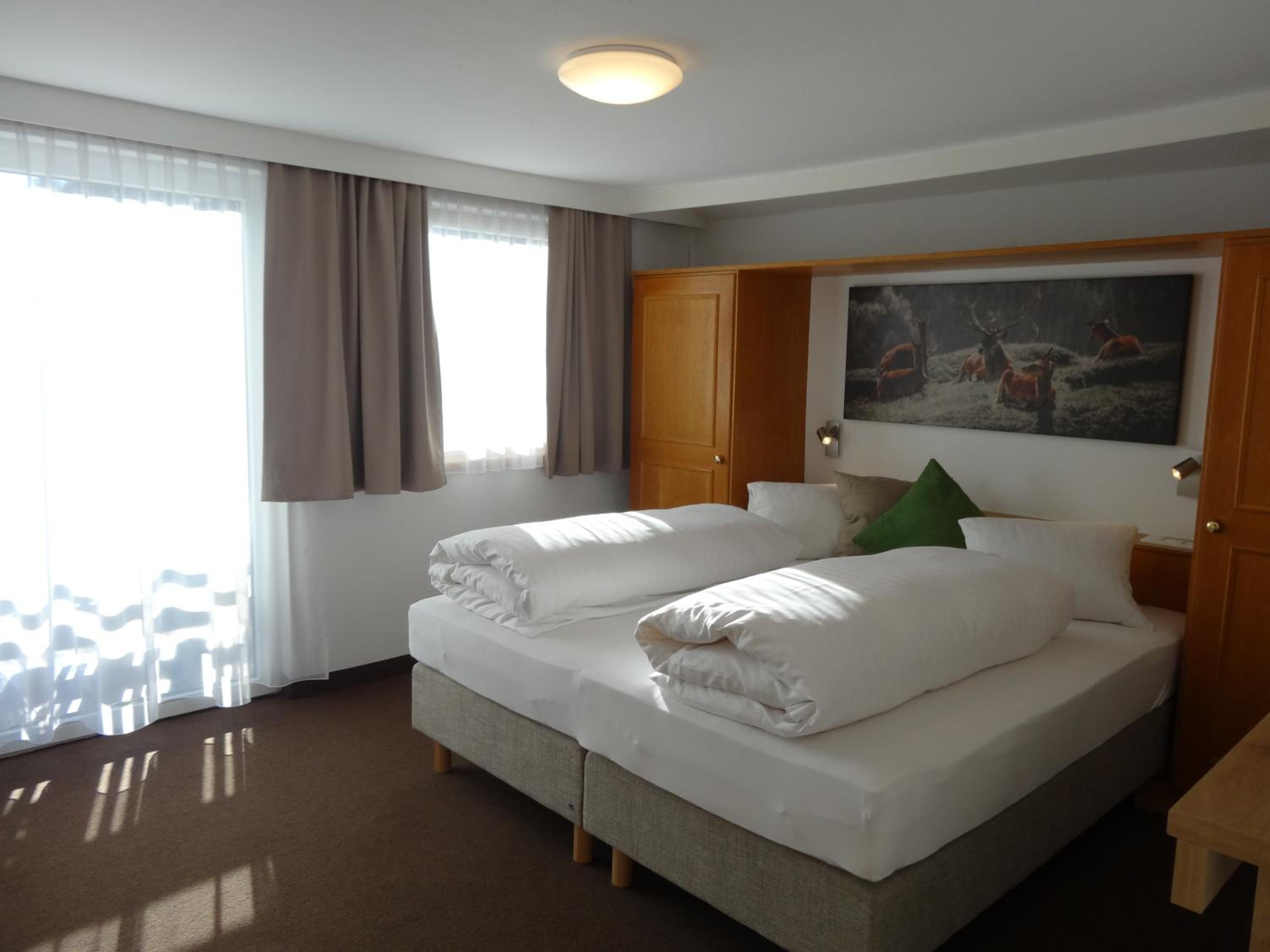 Double Room with Mountain View photo 2