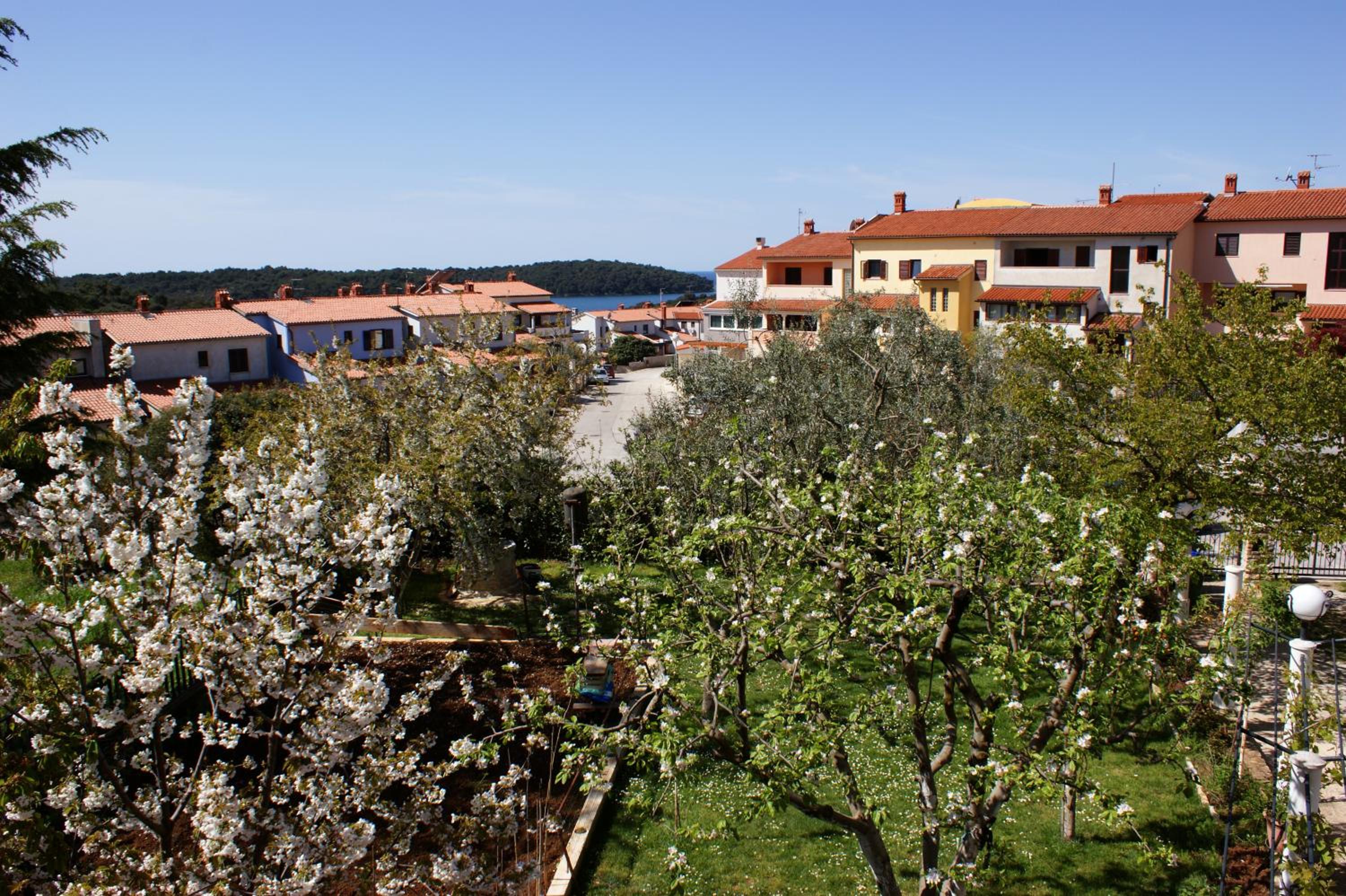 Two-Bedroom Apartment with Sea View - Photo 12
