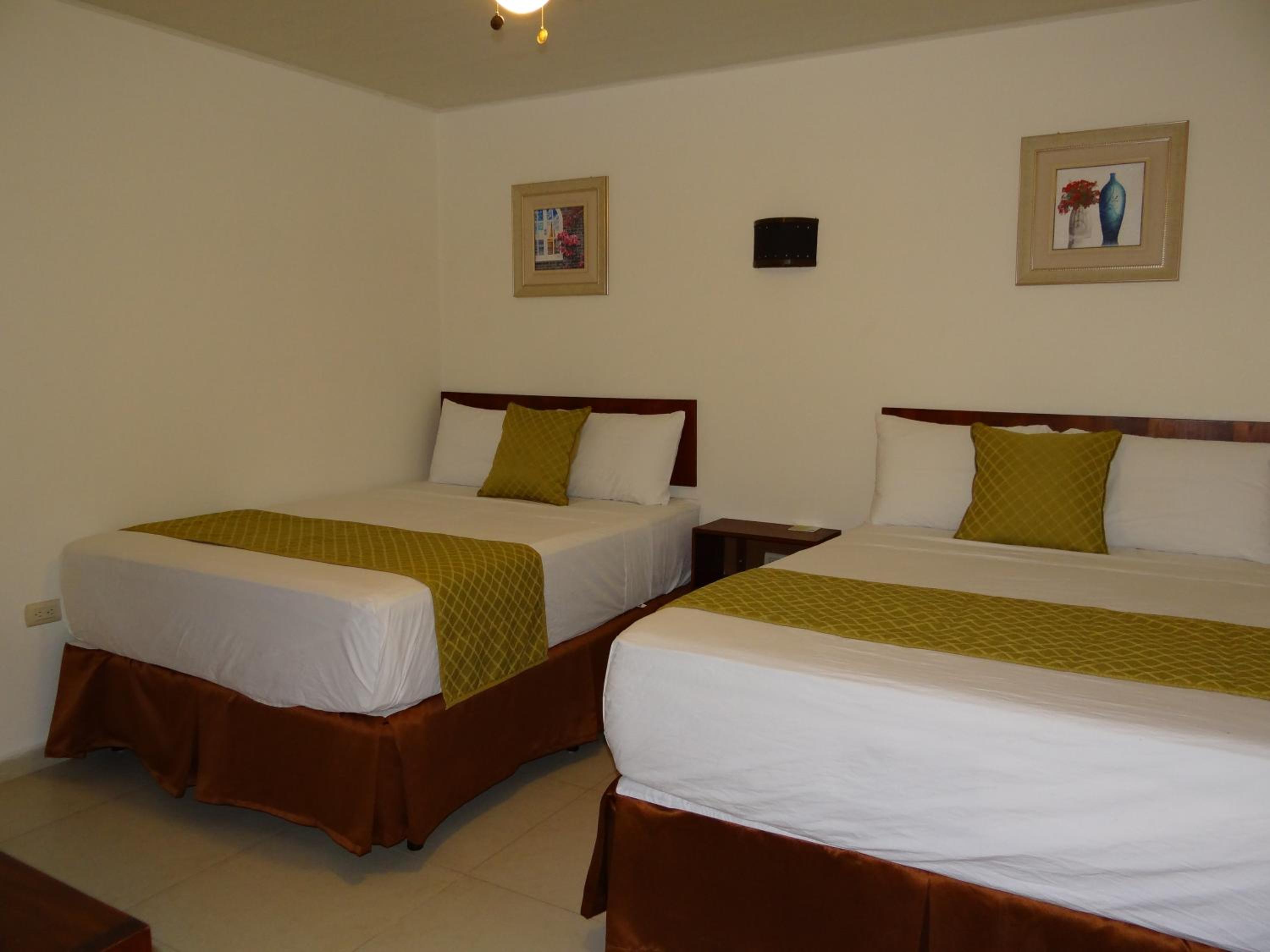Twin Room photo 1