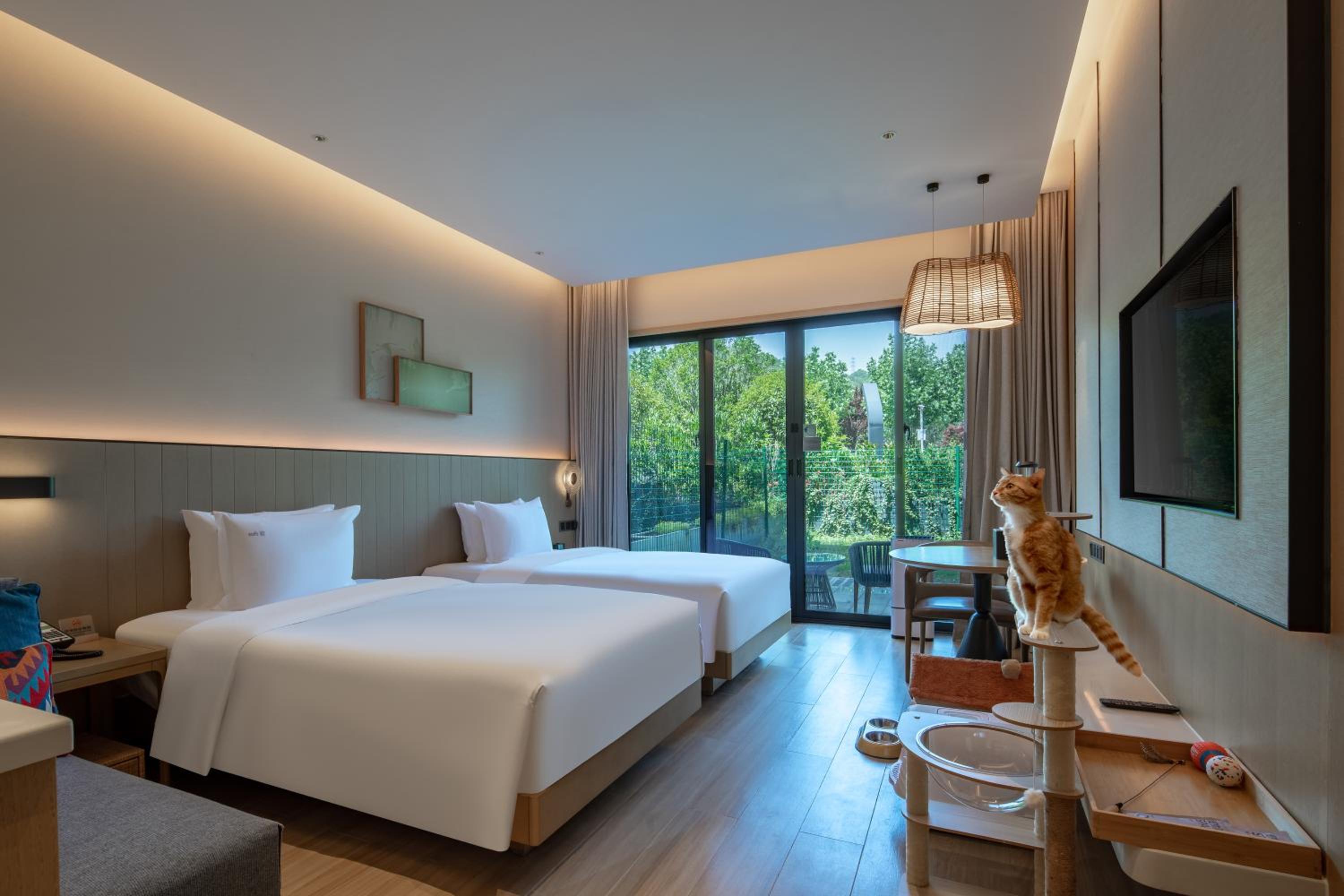 Standard King Room - Pet Friendly