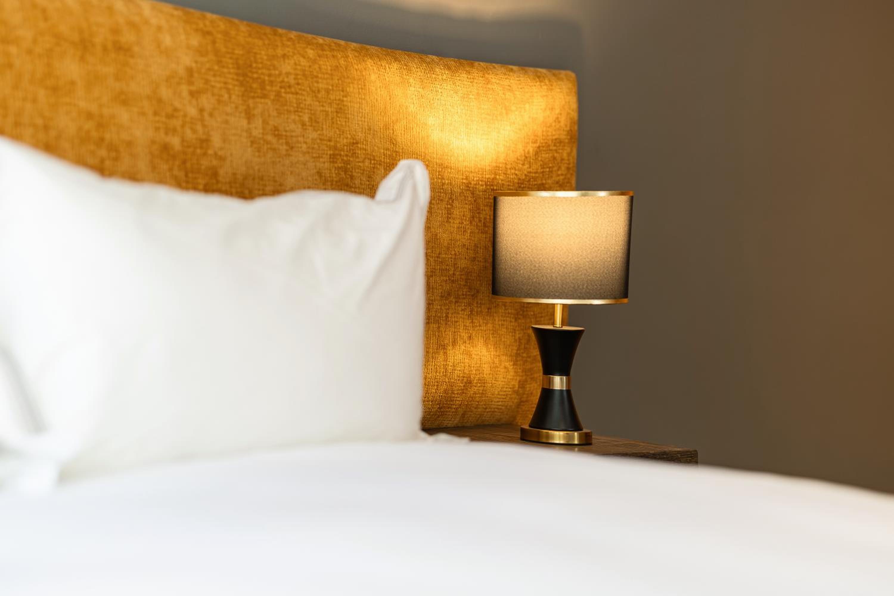 Deluxe King Suite