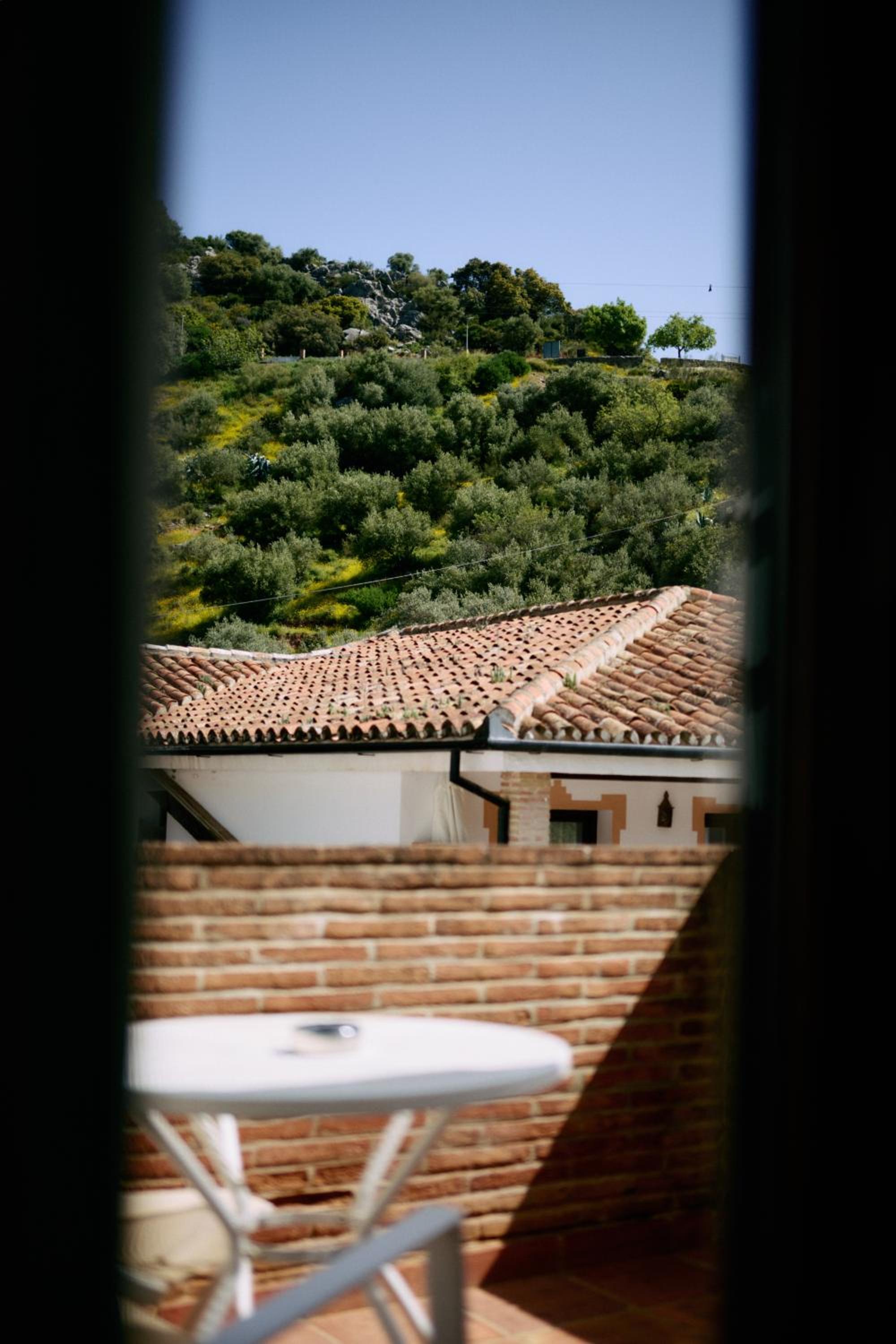 Double Room with Mountain View photo 3