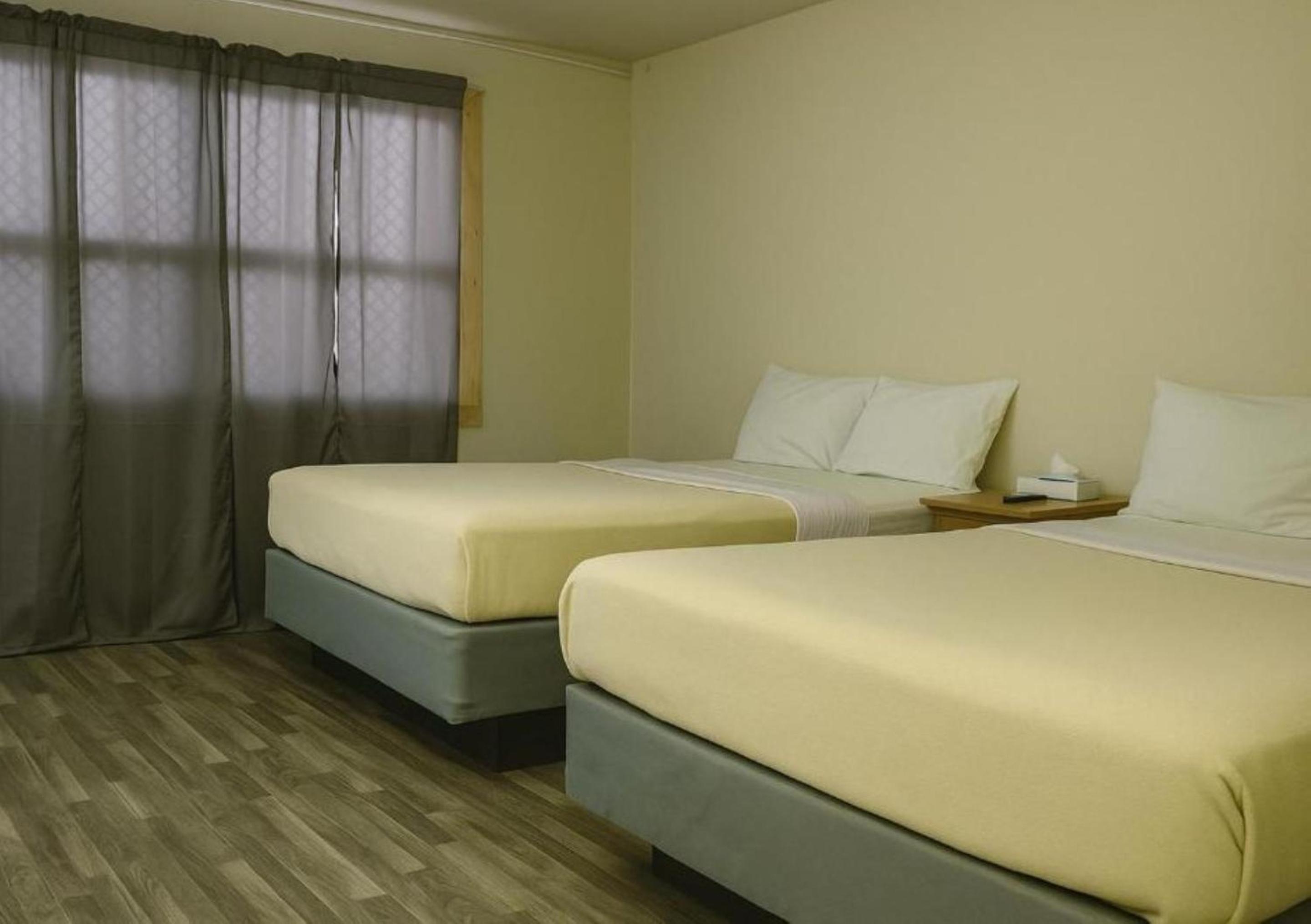 Double Queen Bed Apartment Non-Smoking photo 3