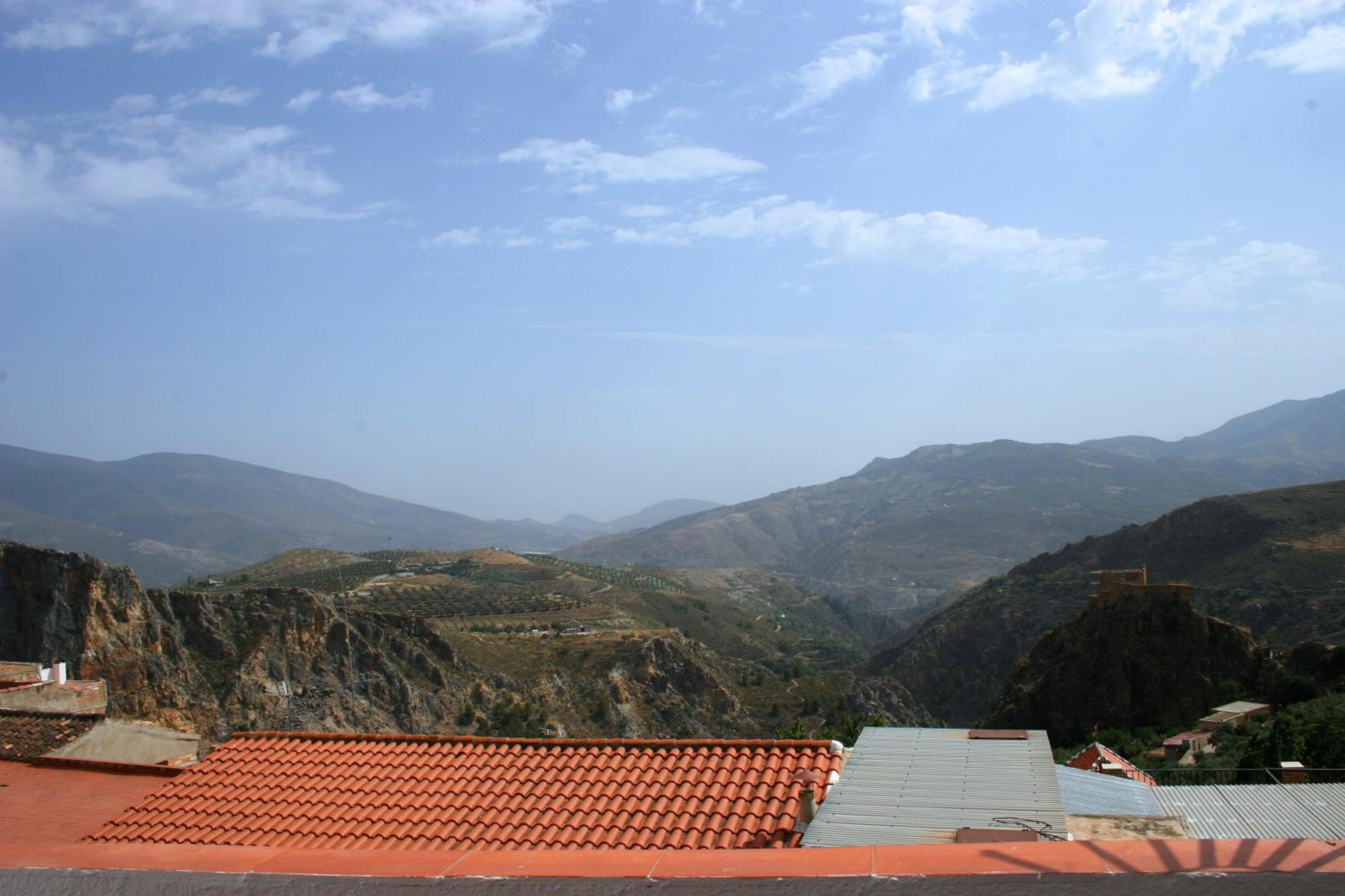 Triple Room with Terrace - No pets photo 3