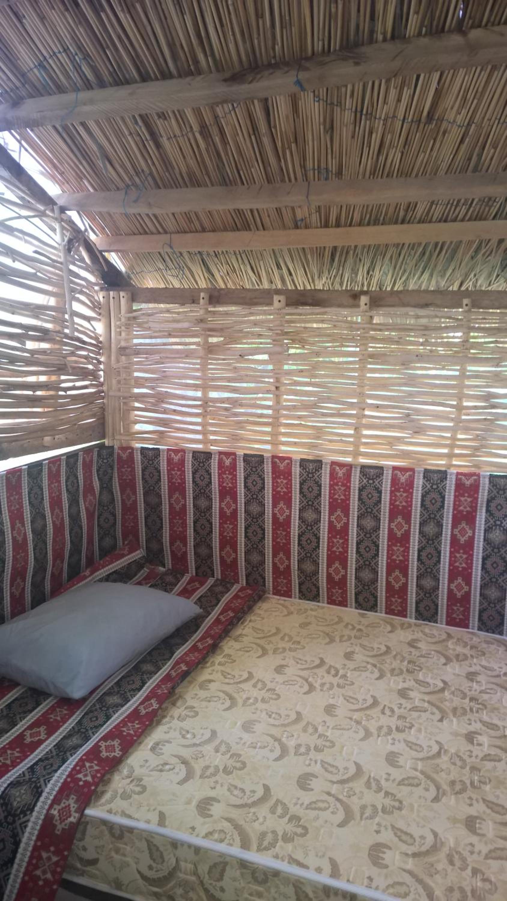 Budget Double Room in a Tree photo 2