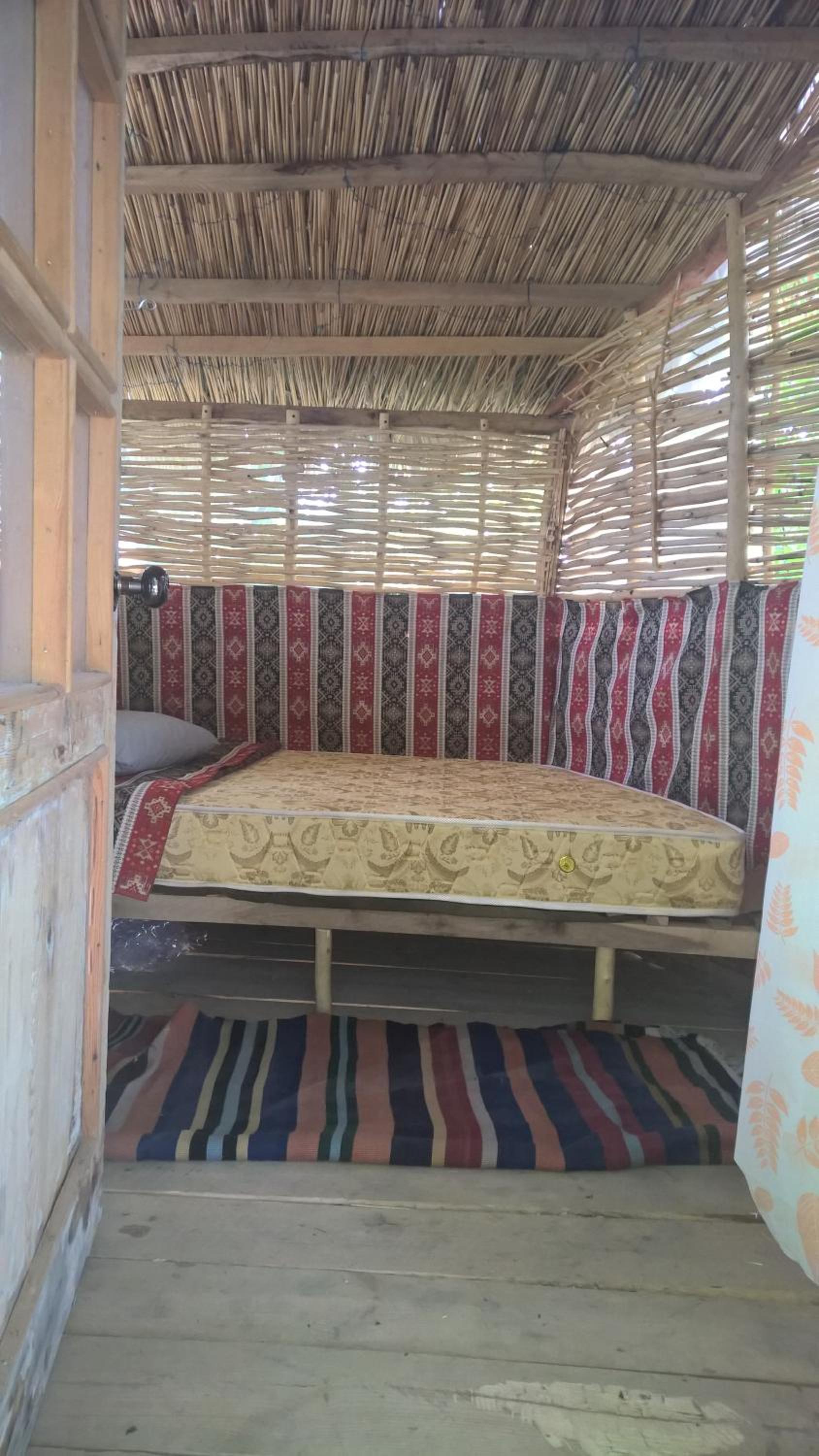 Budget Double Room in a Tree photo 1