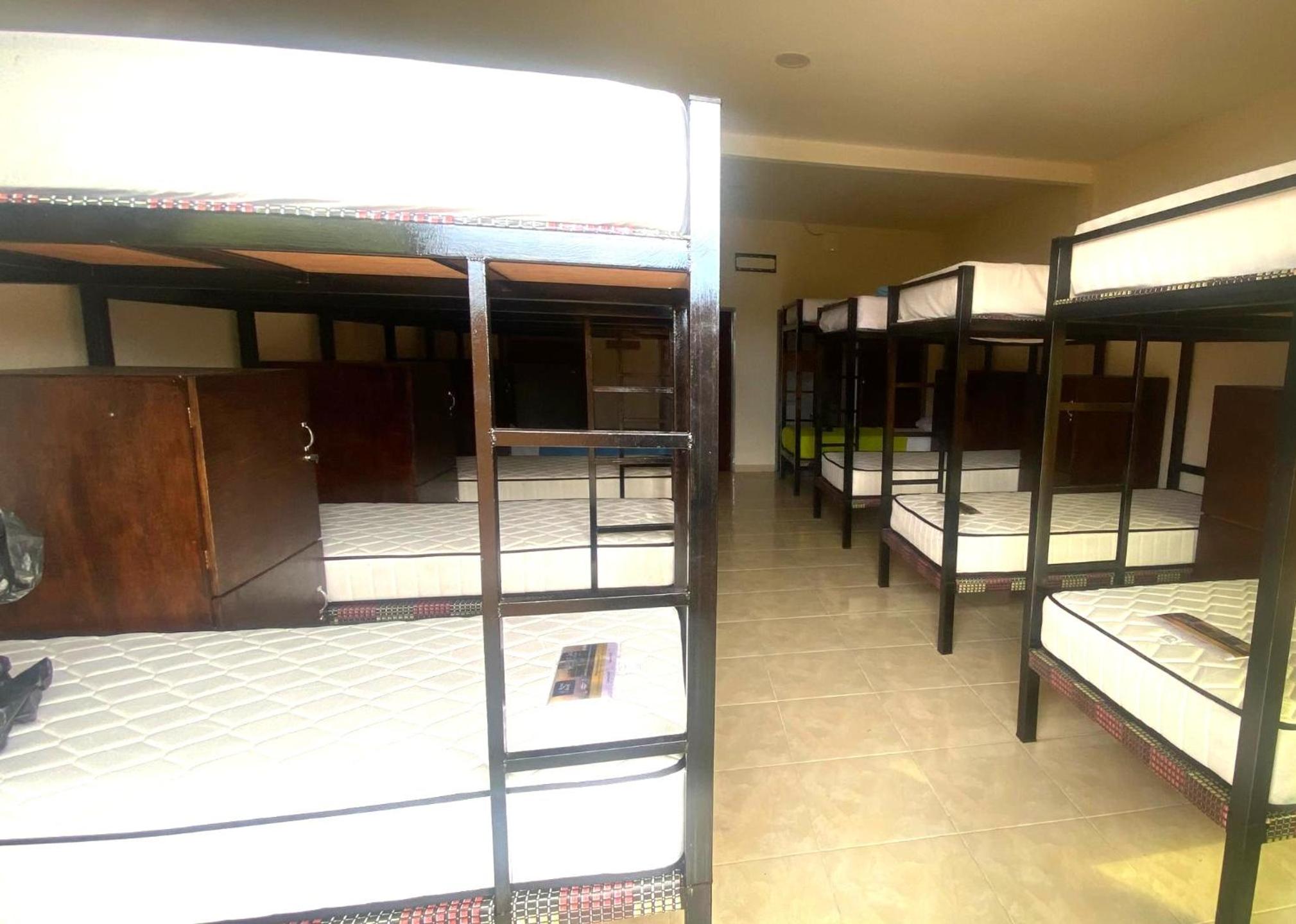 Bunk Bed in Mixed Dormitory Room