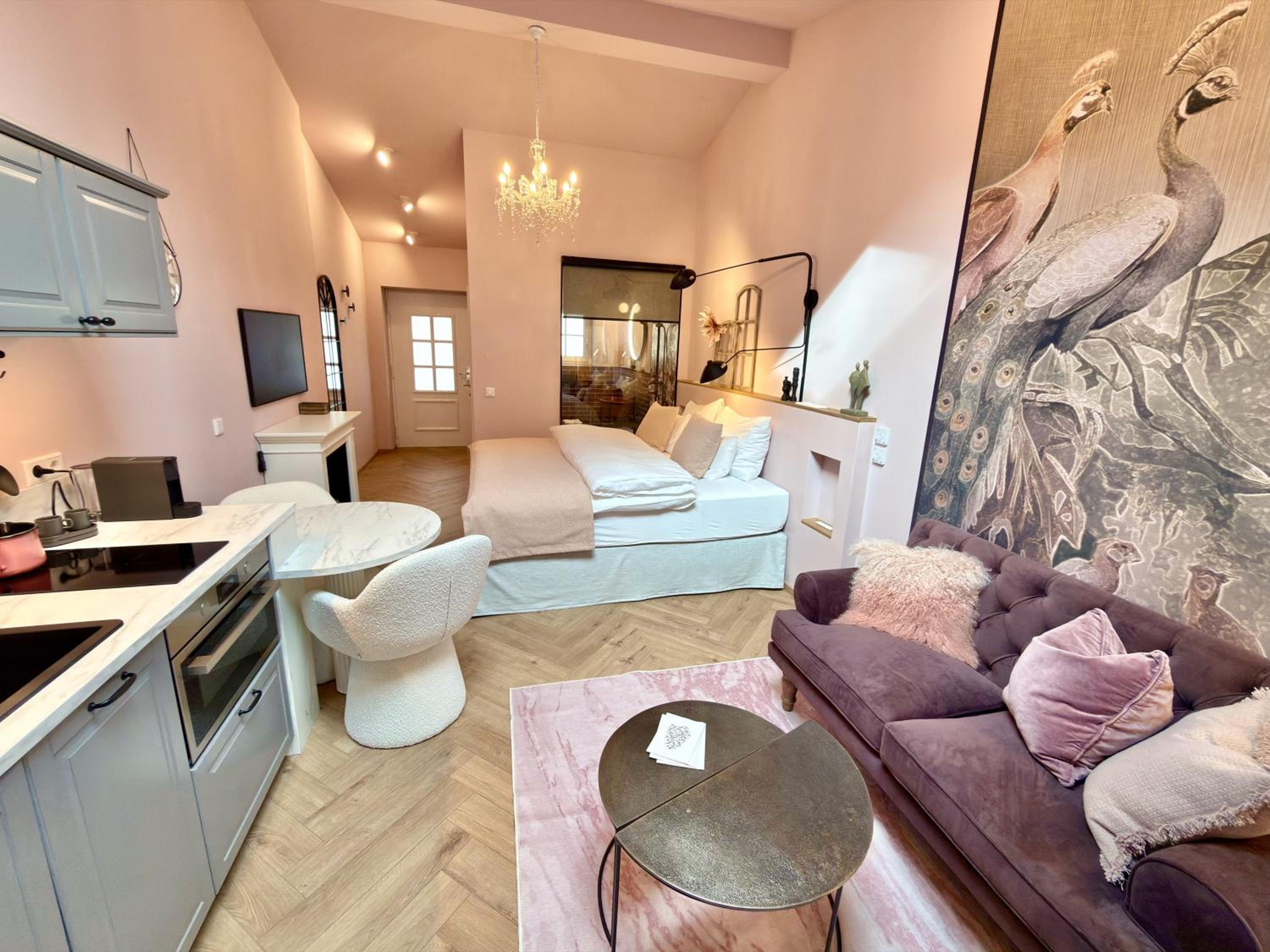 Studio with Terrace