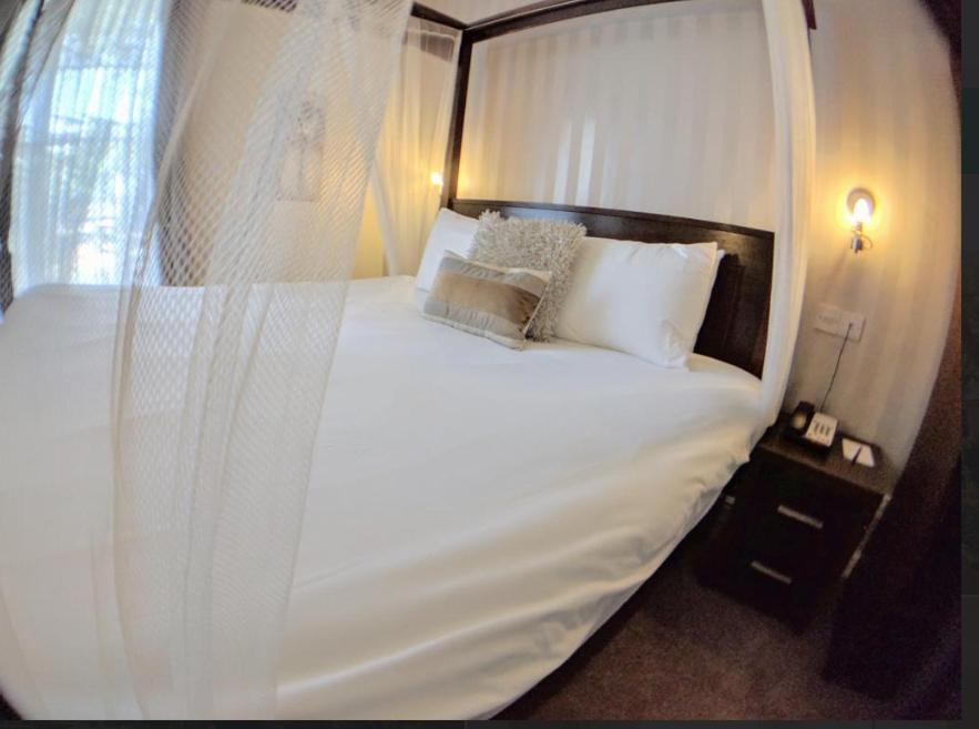 Suite photo 2