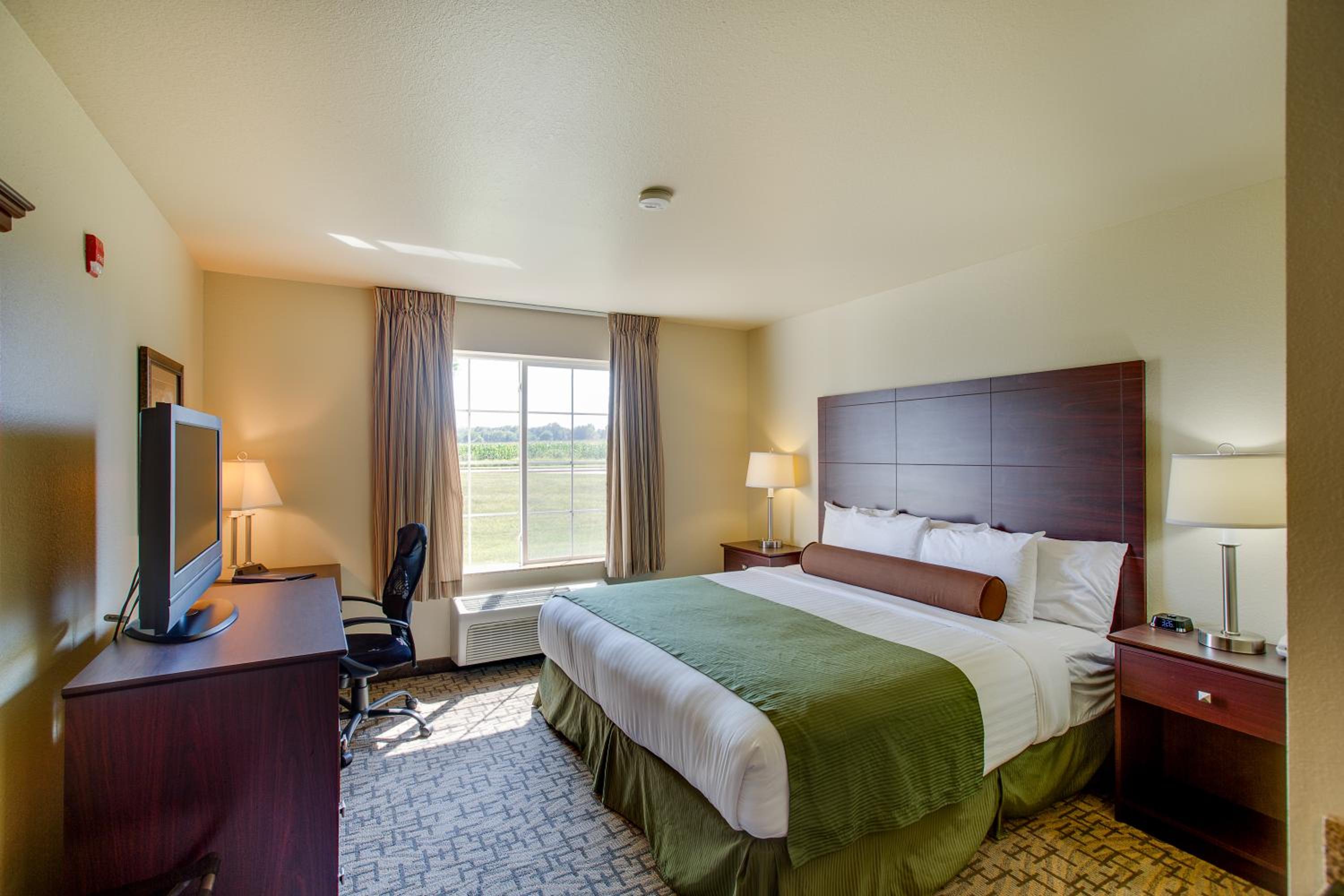 King Room - Non-Smoking - Photo 1