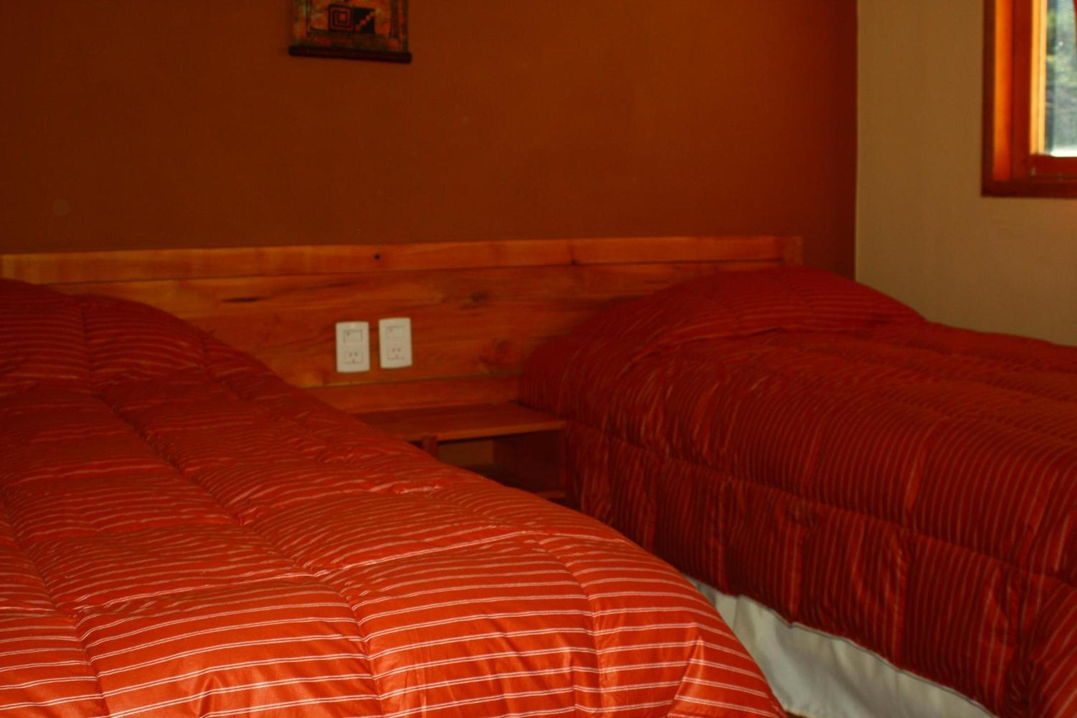 Twin Room photo 3