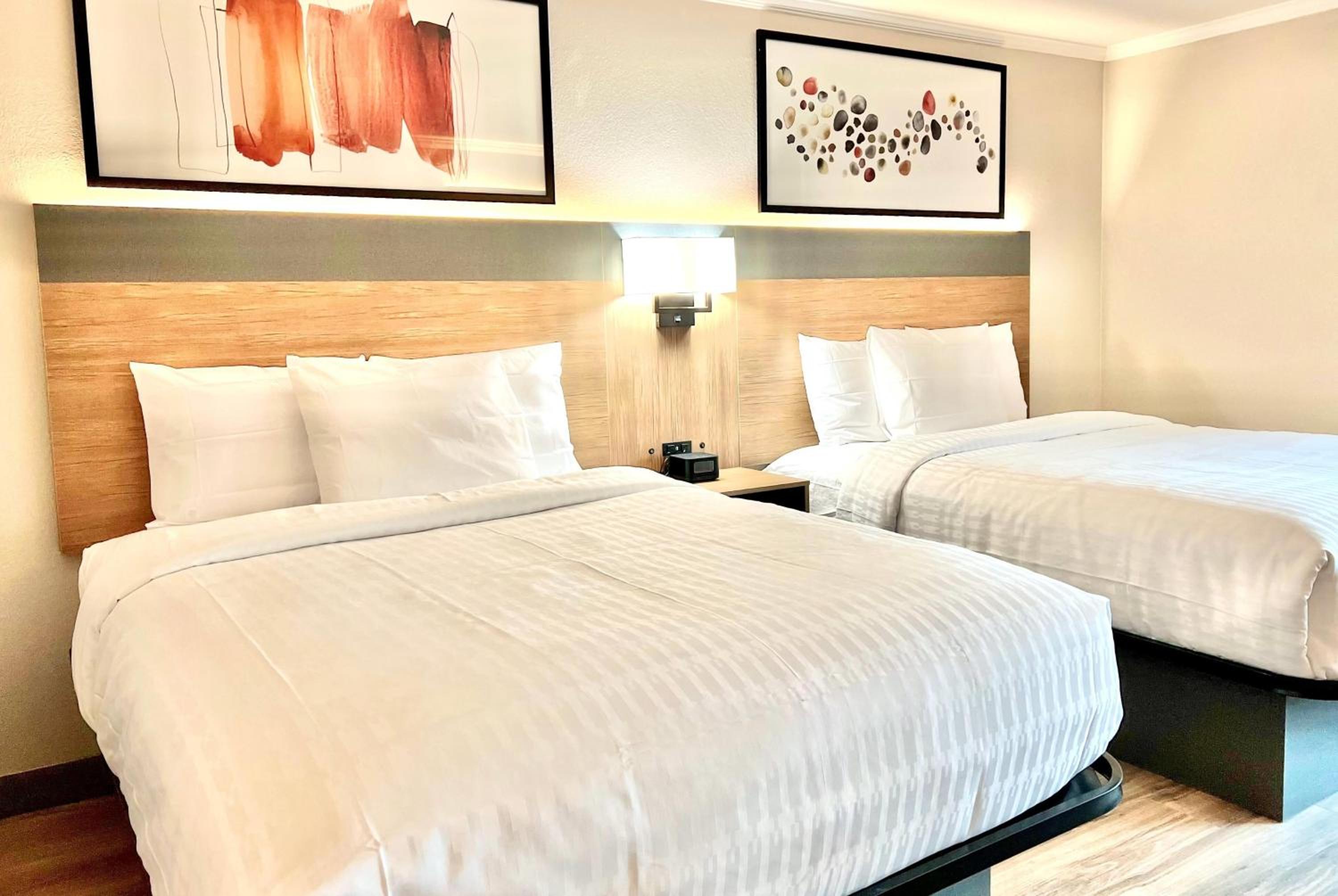 King Suite with Sofa Bed and Kitchenette - Non-Smoking - Photo 2
