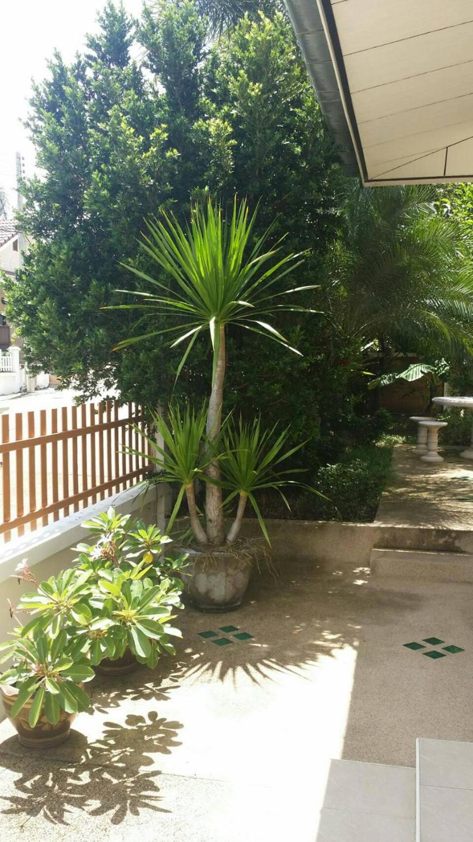 Villa with Private Pool - Photo 29