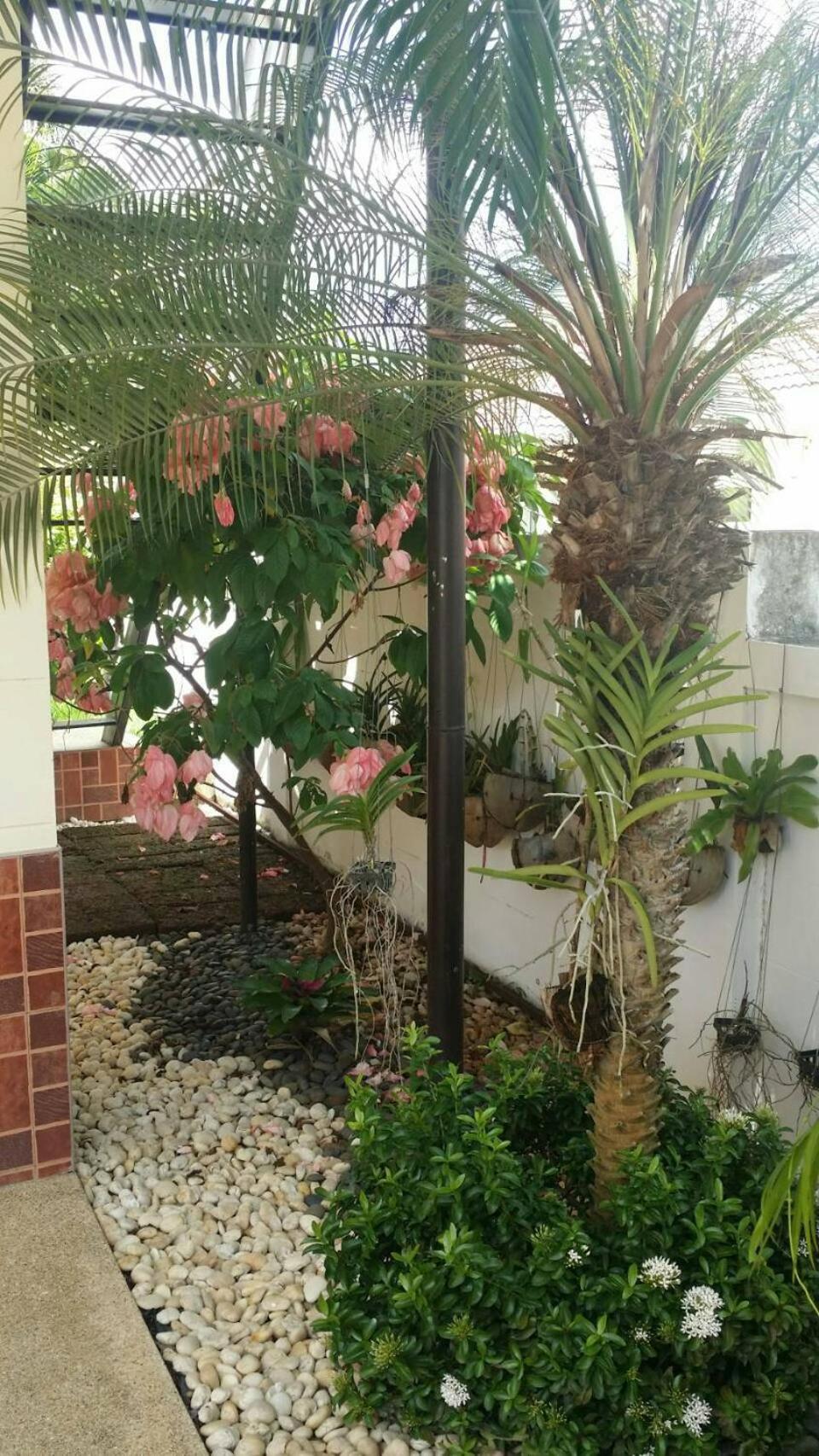 Villa with Private Pool - Photo 28