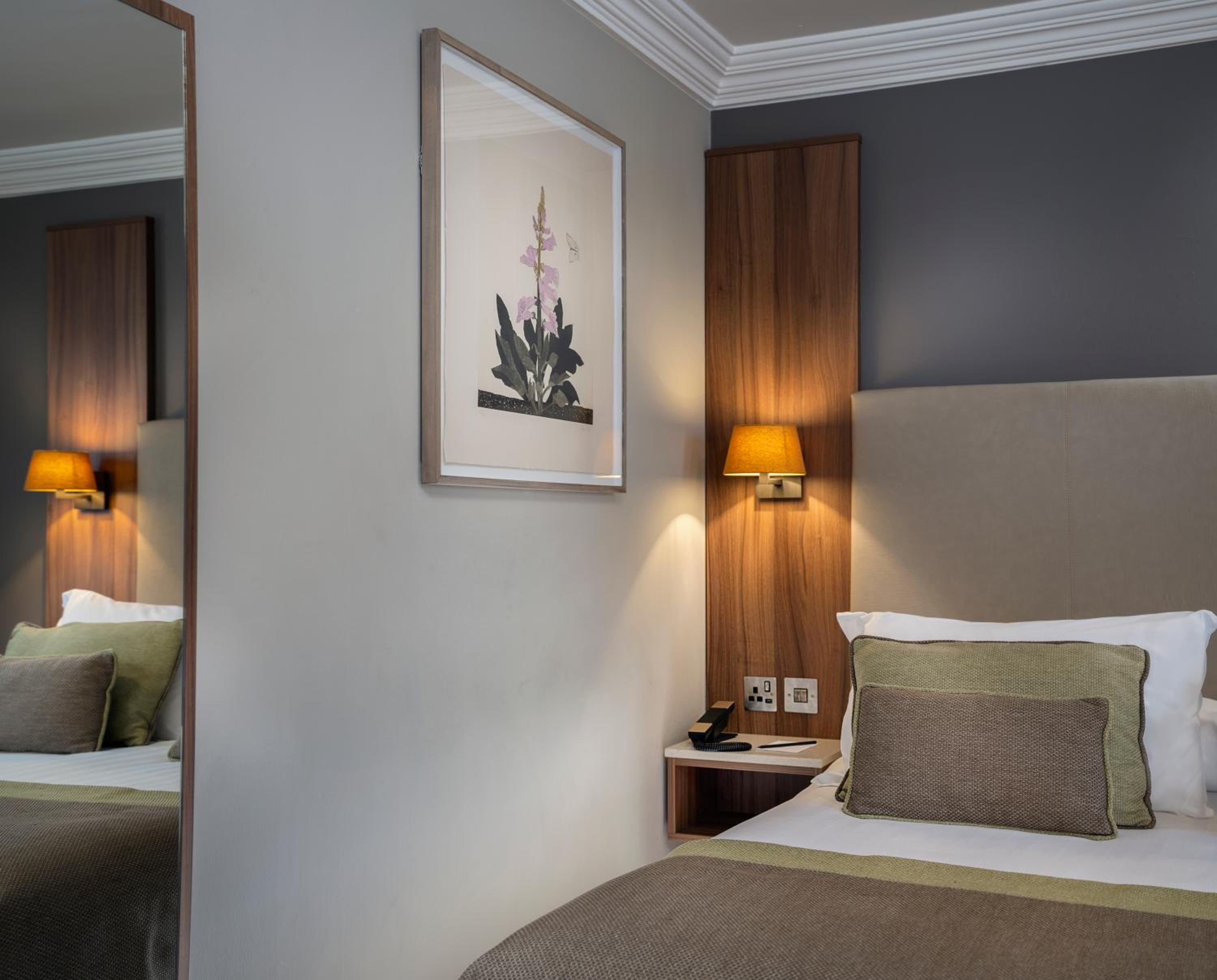Single Room photo 3