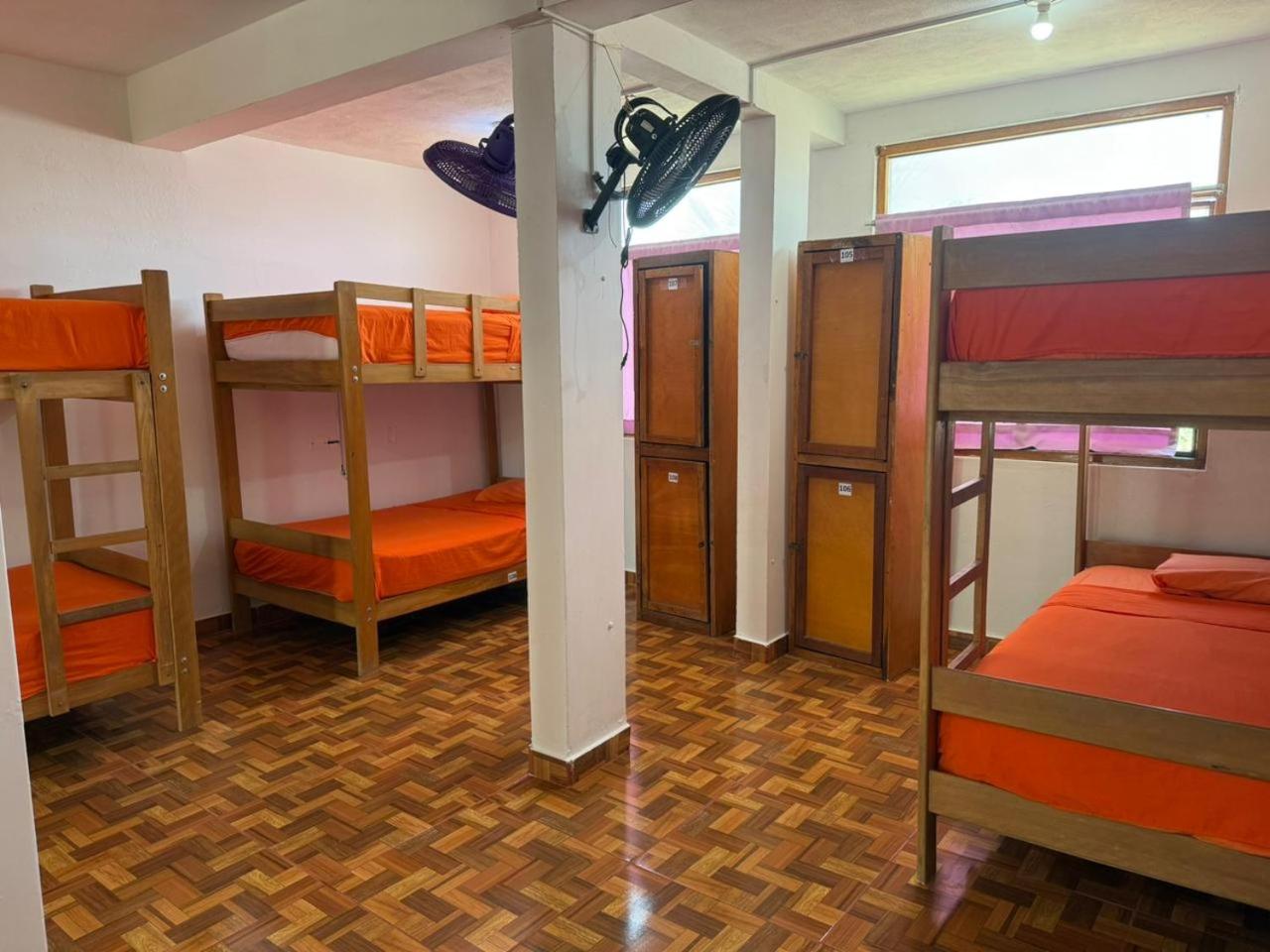 Single Bed in Dormitory Room photo 1