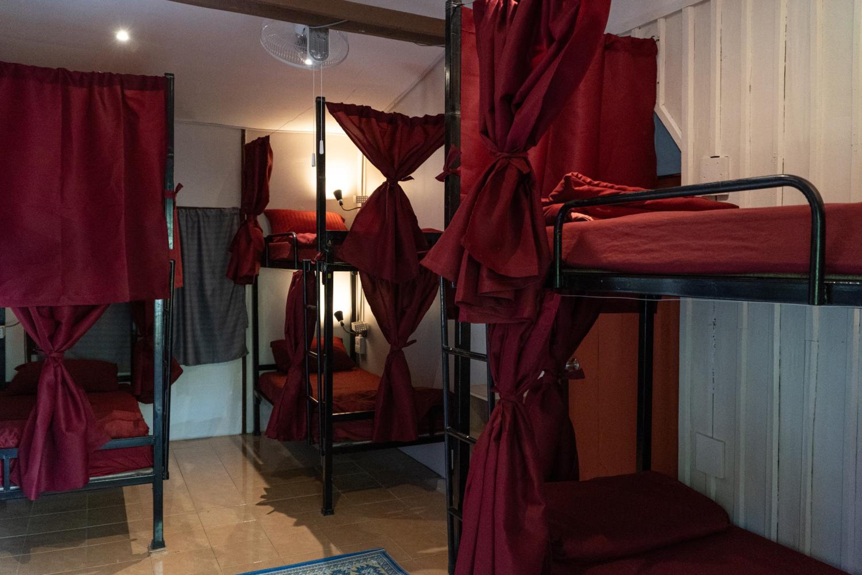 Bunk Bed in Mixed Dormitory Room photo 2