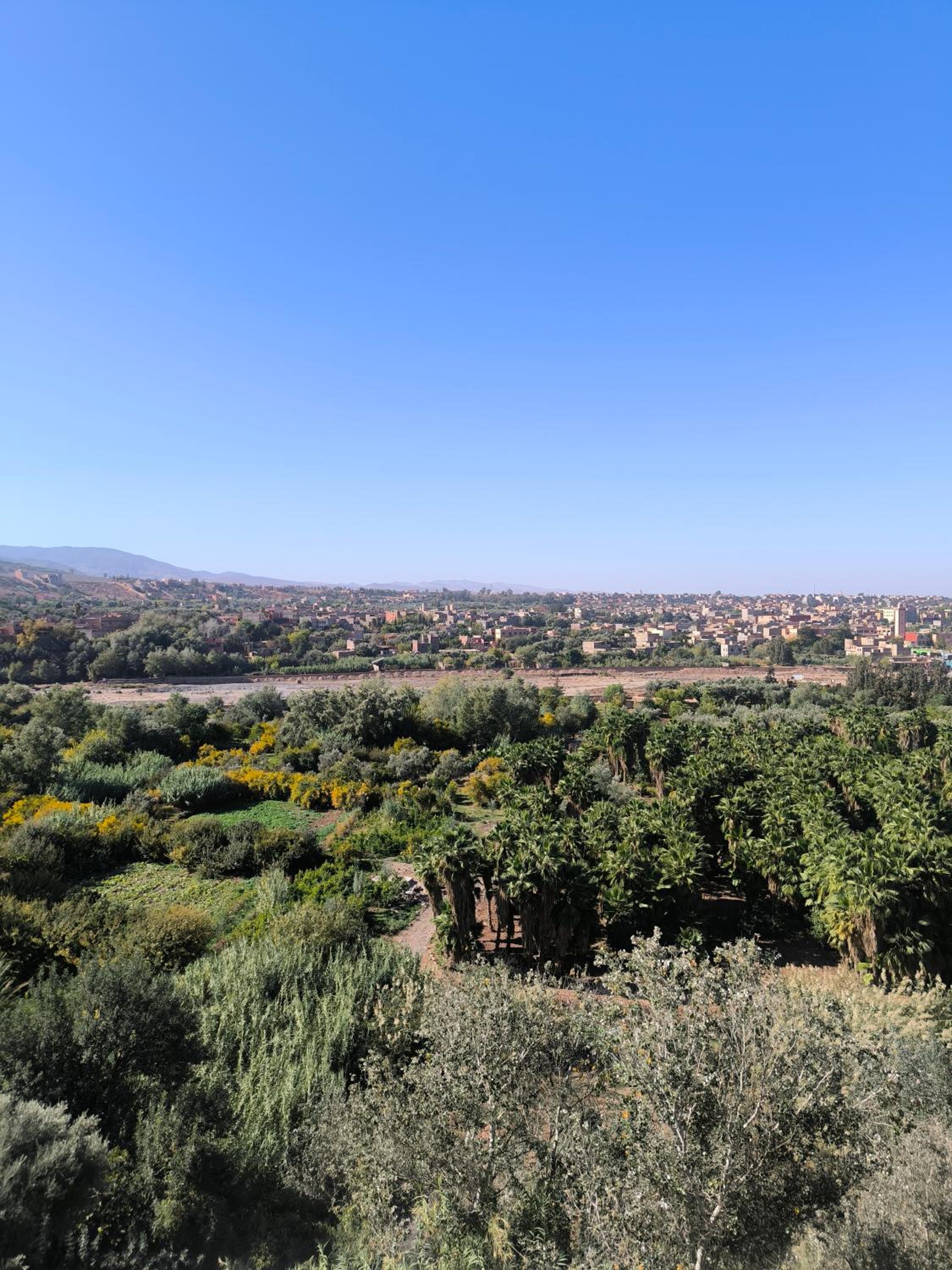 Quadruple Room with Garden View photo 1