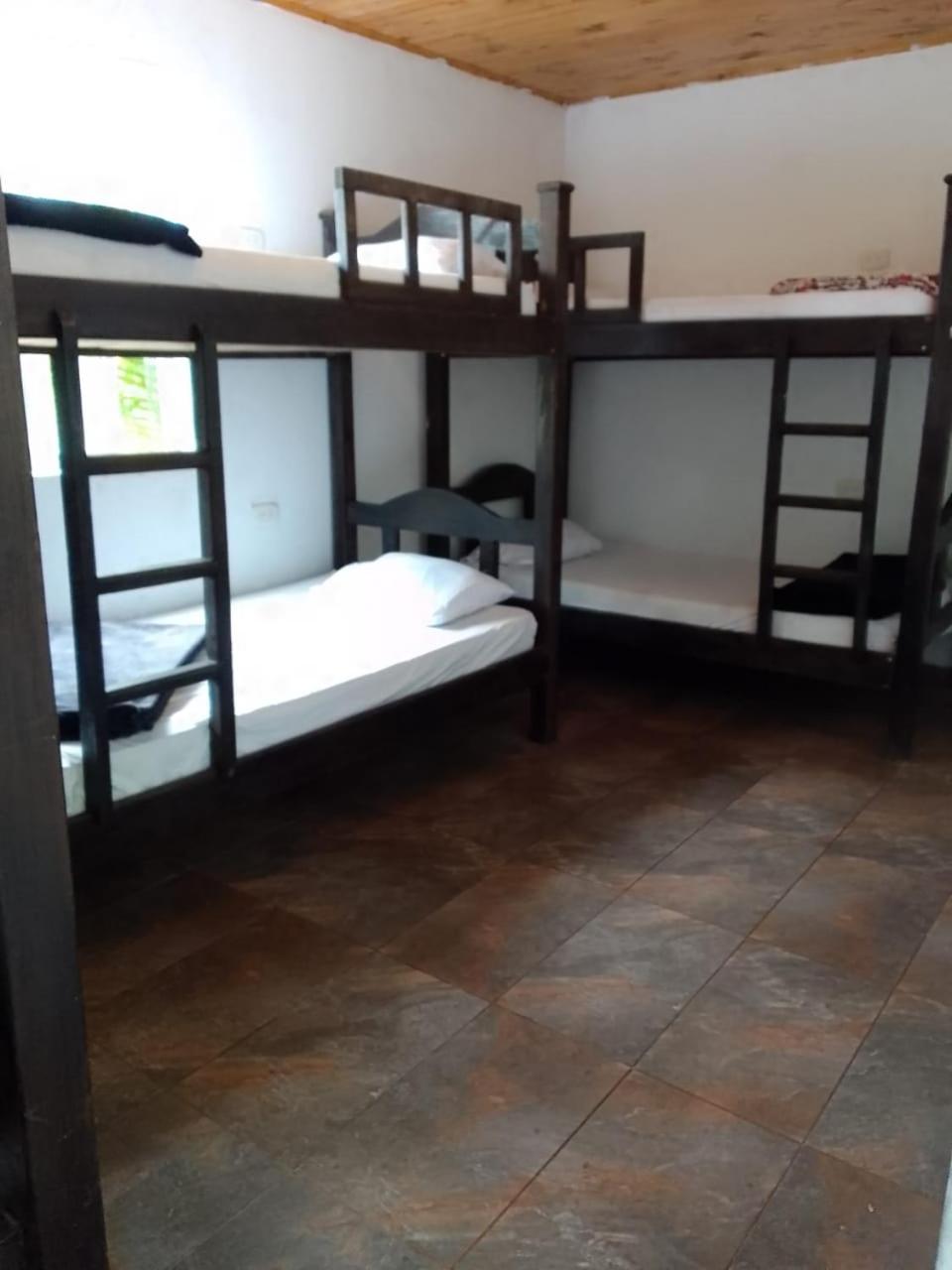 Bed in 6-Bed Mixed Dormitory Room photo 3