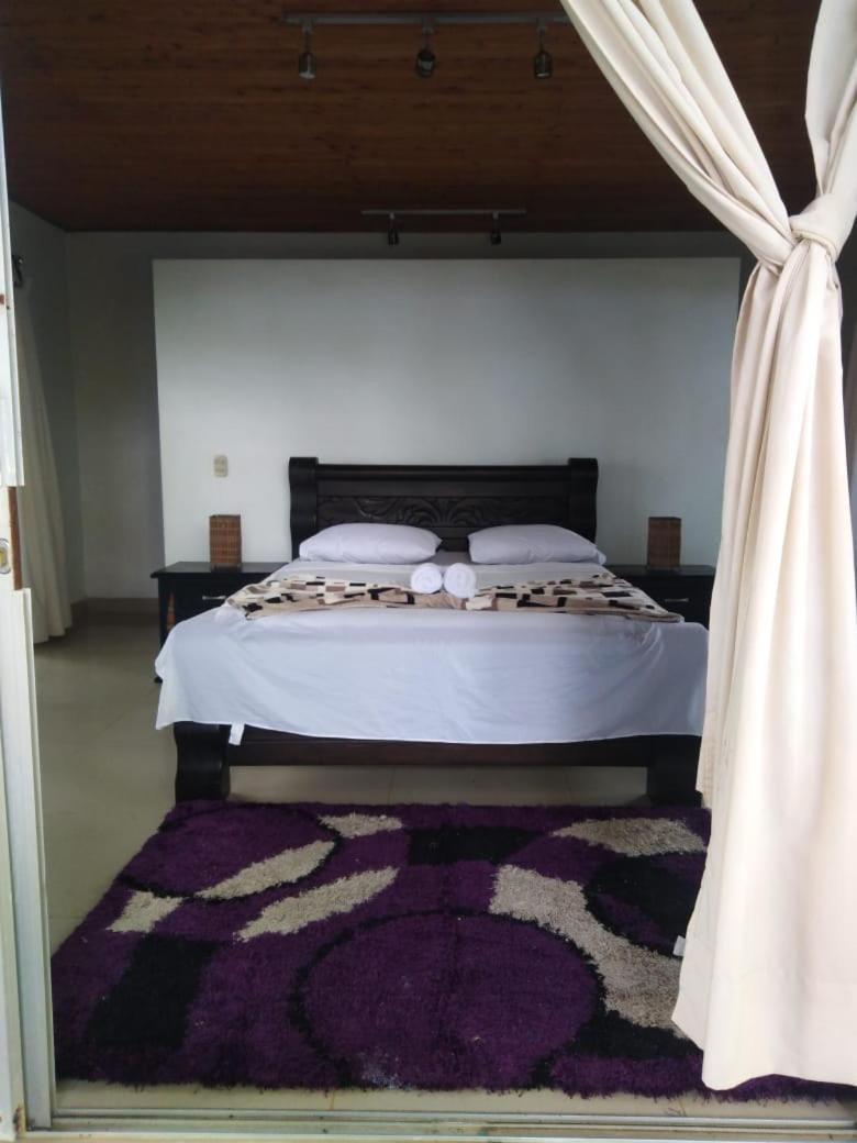 King Room with Garden View photo 2