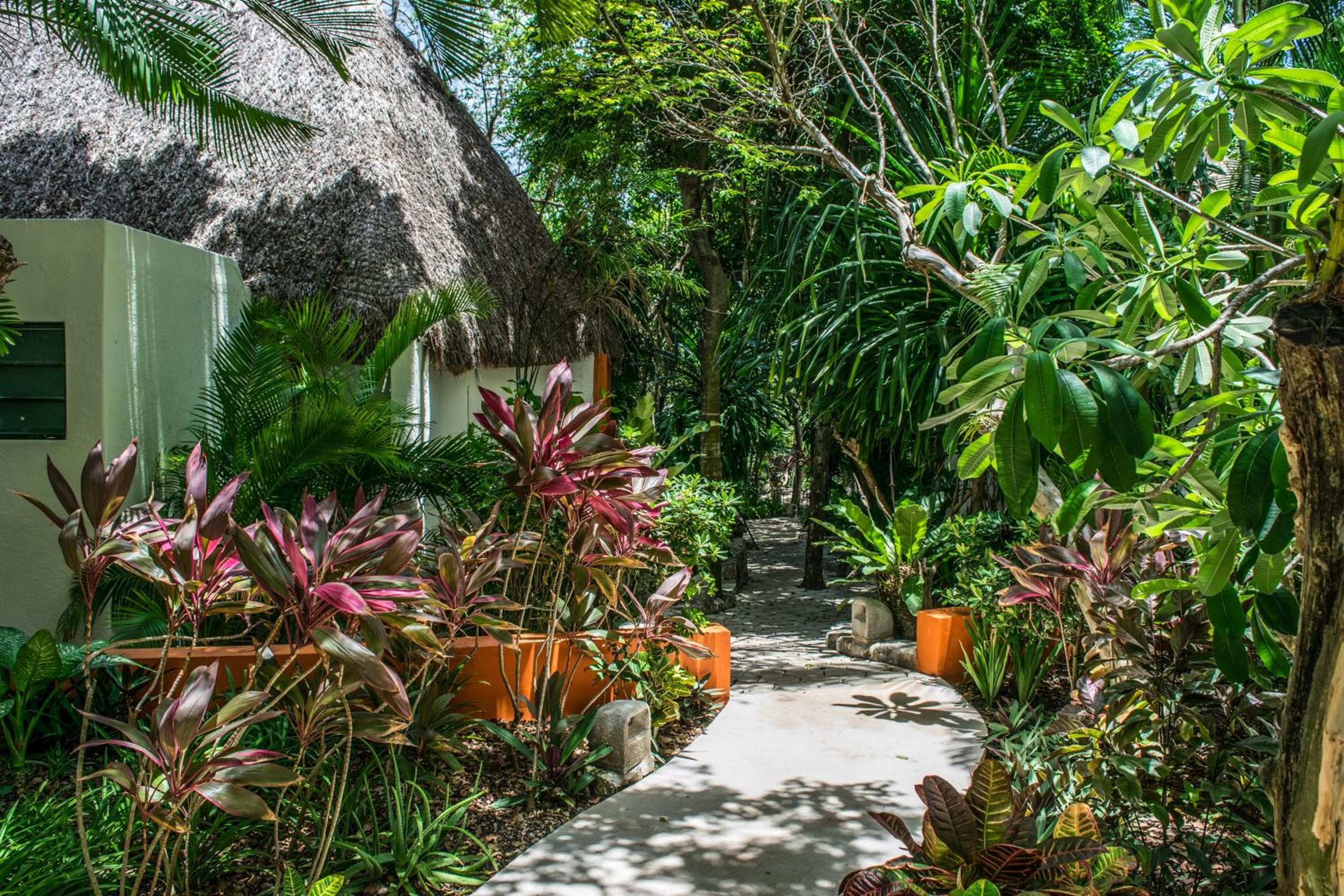 Bungalow - Photo 8