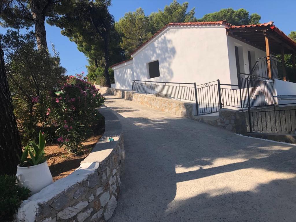 Deluxe Villa photo 3