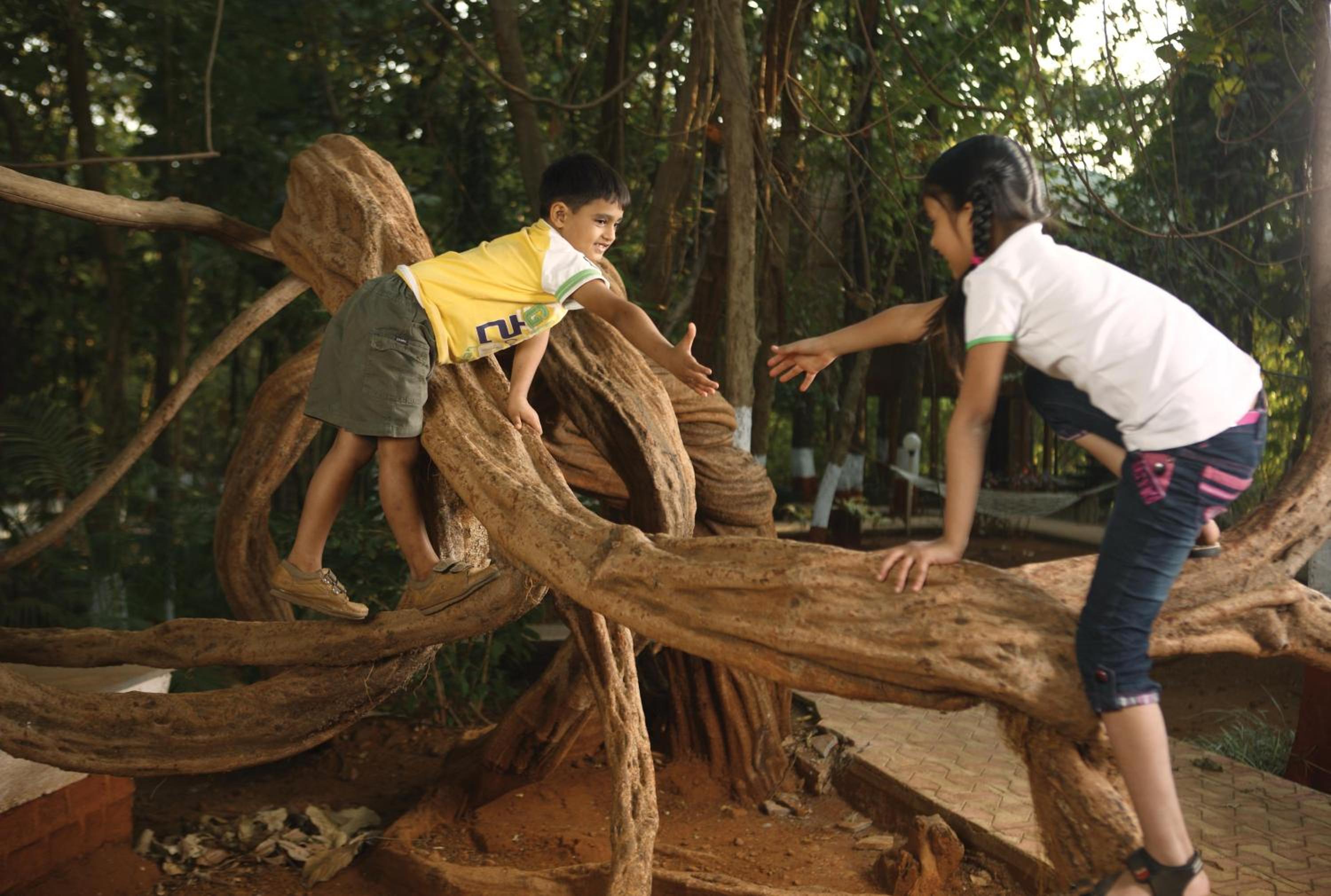 Banyan Machan photo 2