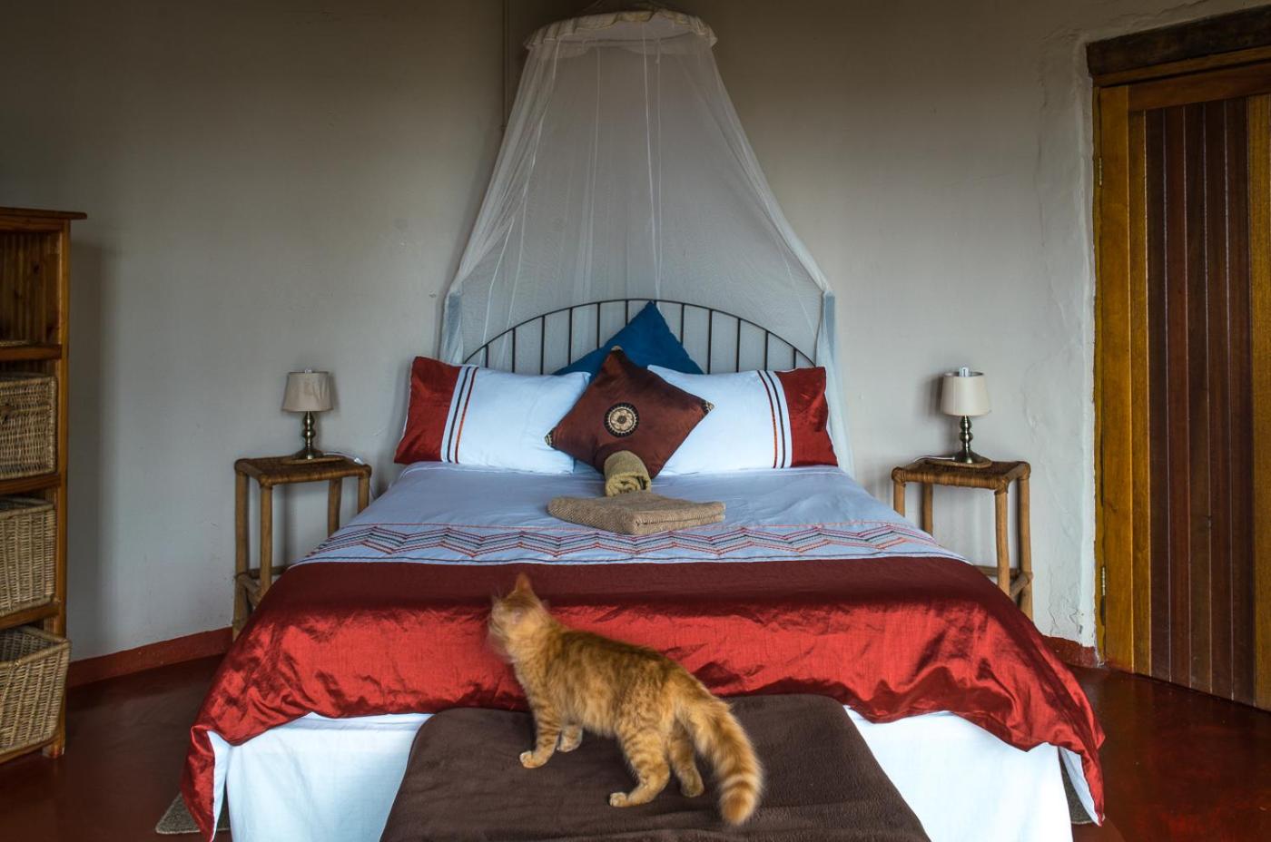 Deluxe Double Room - Photo 4