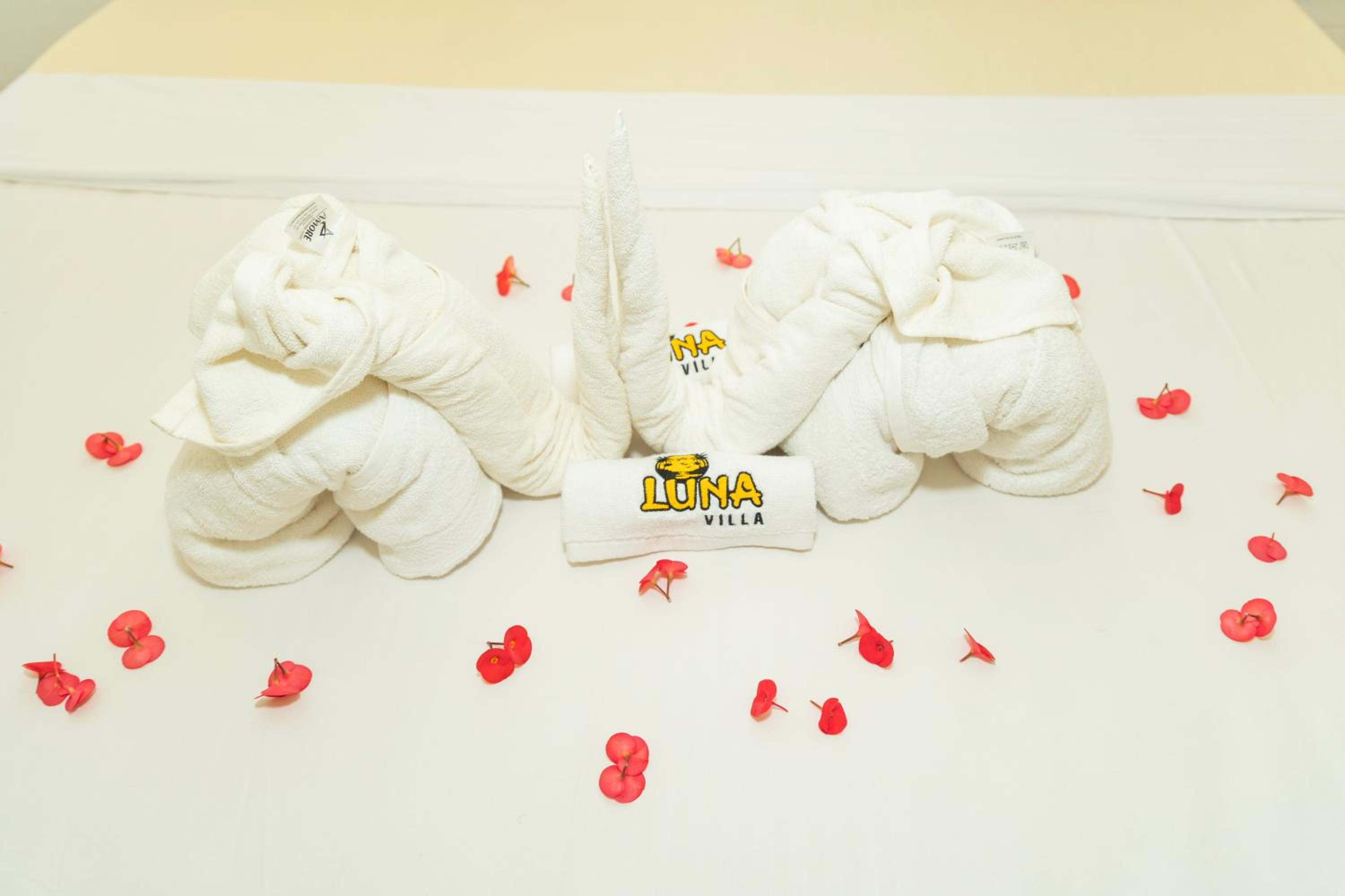 Queen Room with Shared Bathroom