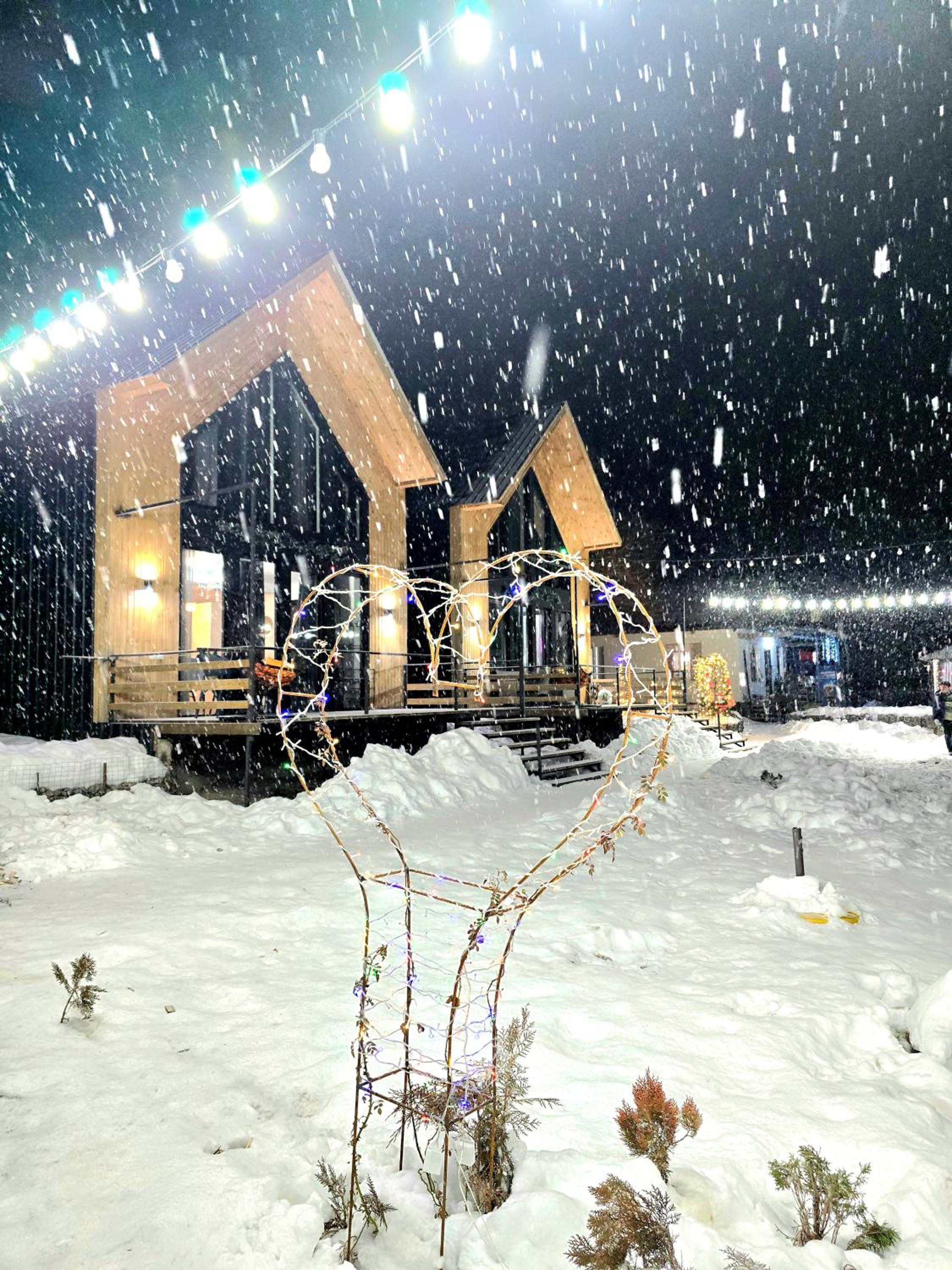 Three-Bedroom Chalet photo 2